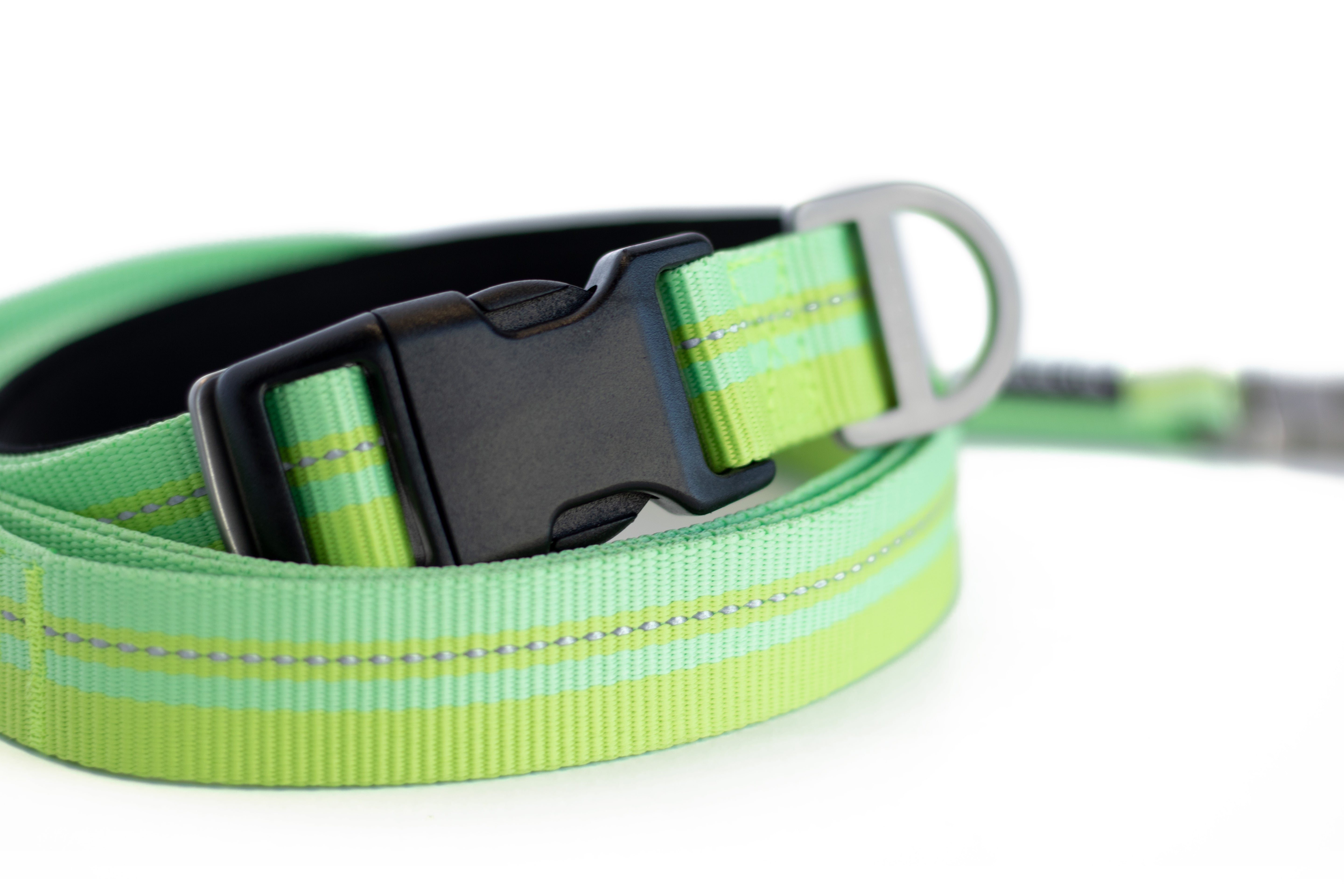 Legendary Leash Leash