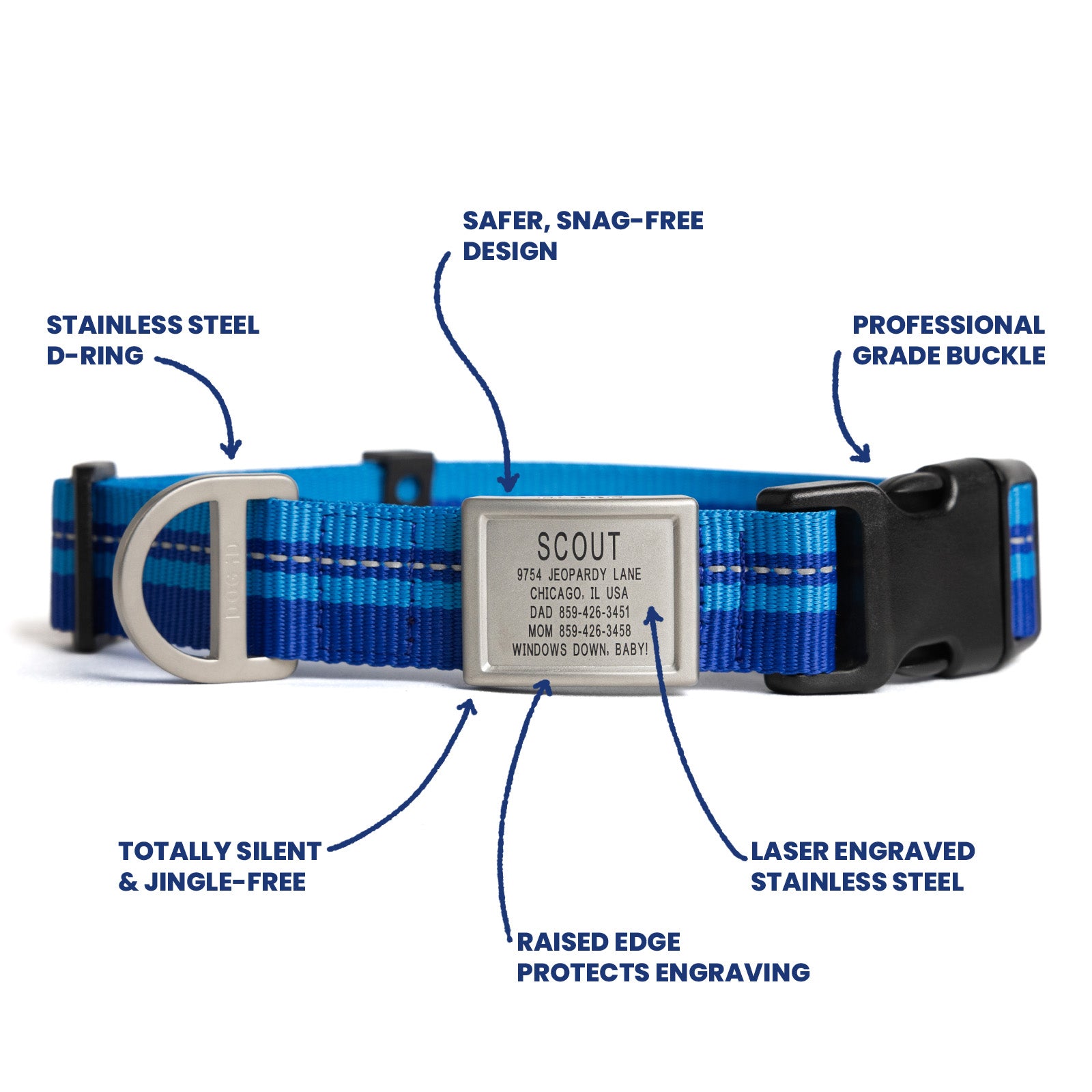 Collar + ID + Leash ID