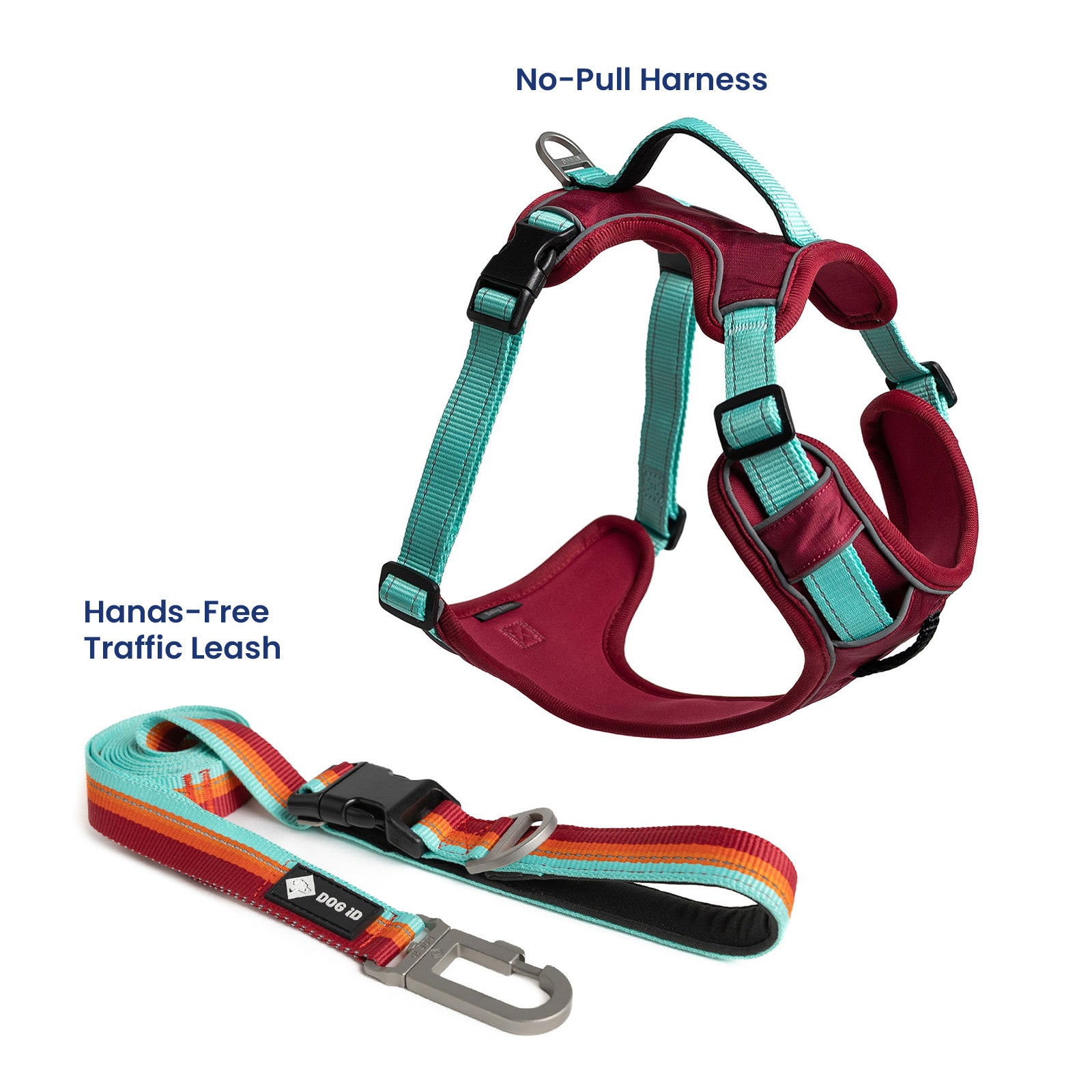 Essential No-Pull Harness Bundle