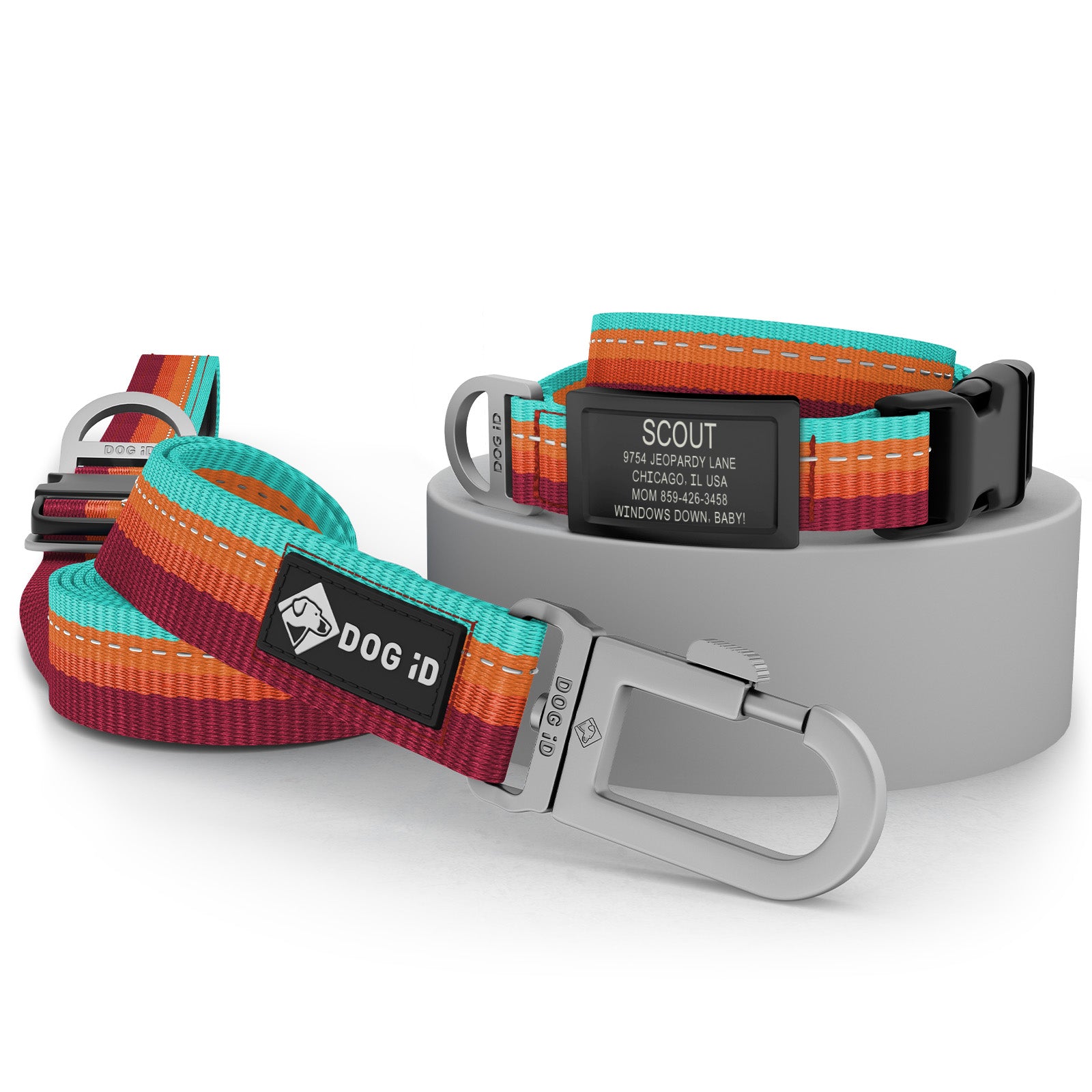 Collar + ID + Leash