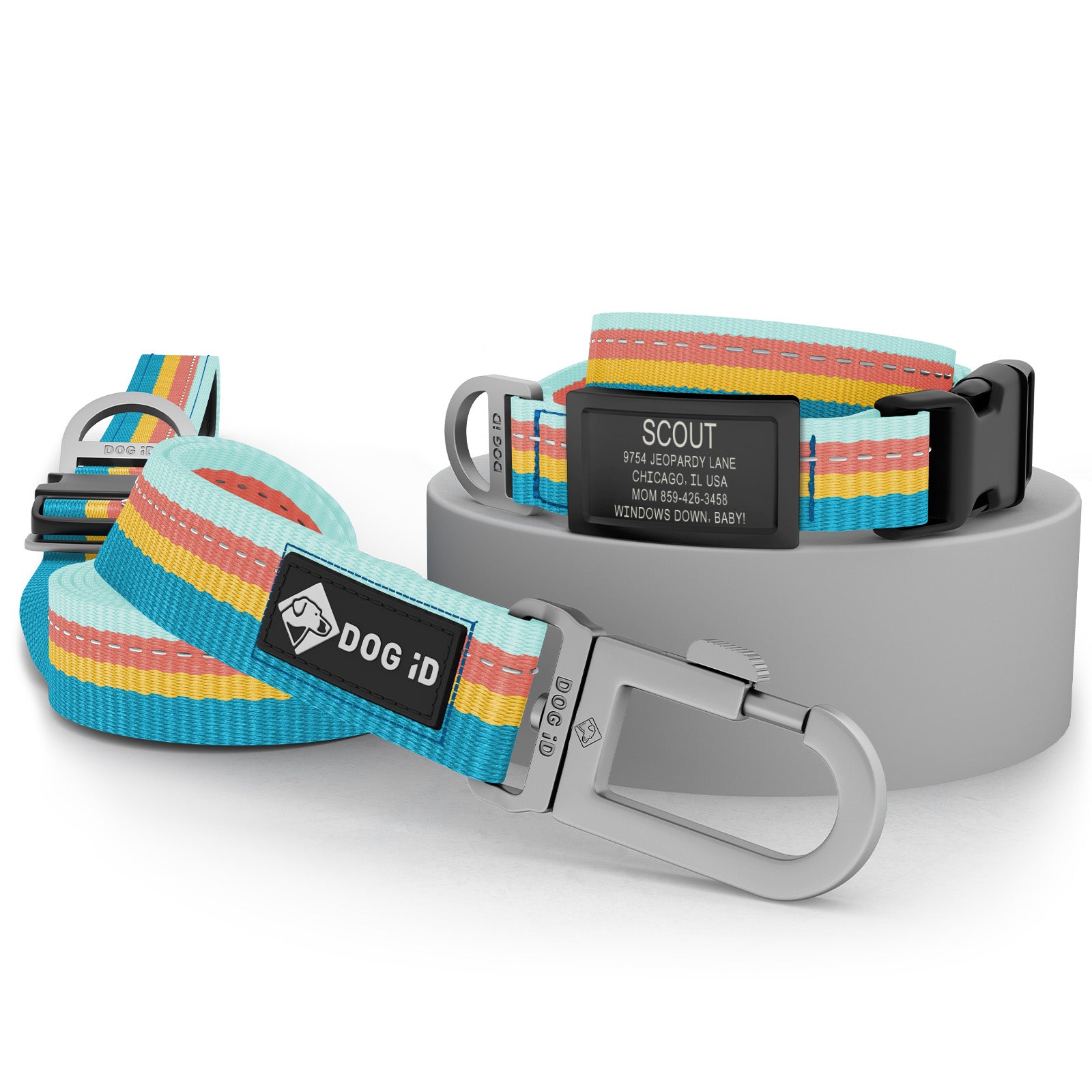 Collar + ID + Leash