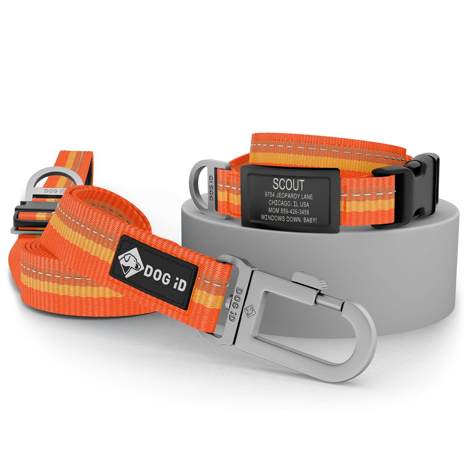 Collar + ID + Leash