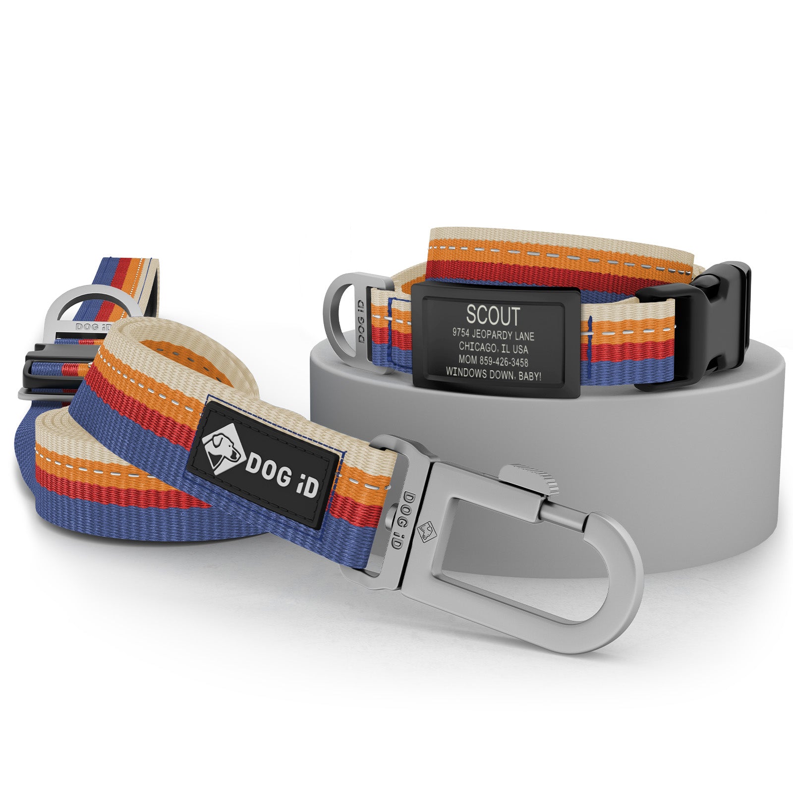 Collar + ID + Leash