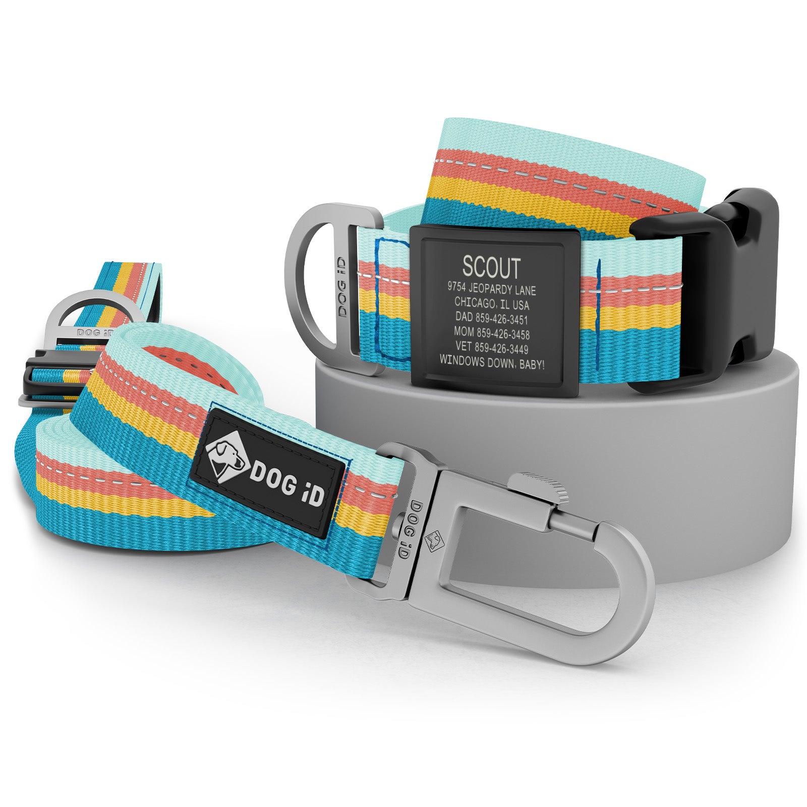 Collar + ID + Leash