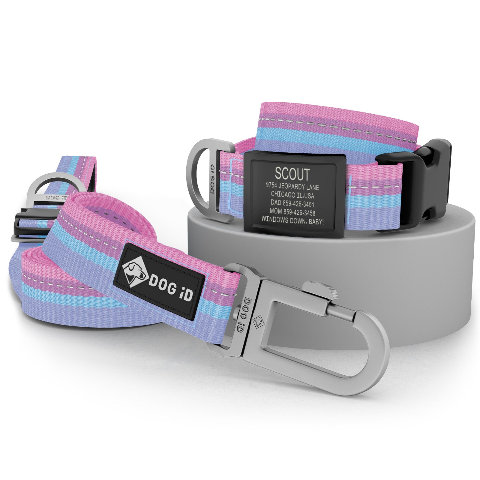 Collar + ID + Leash