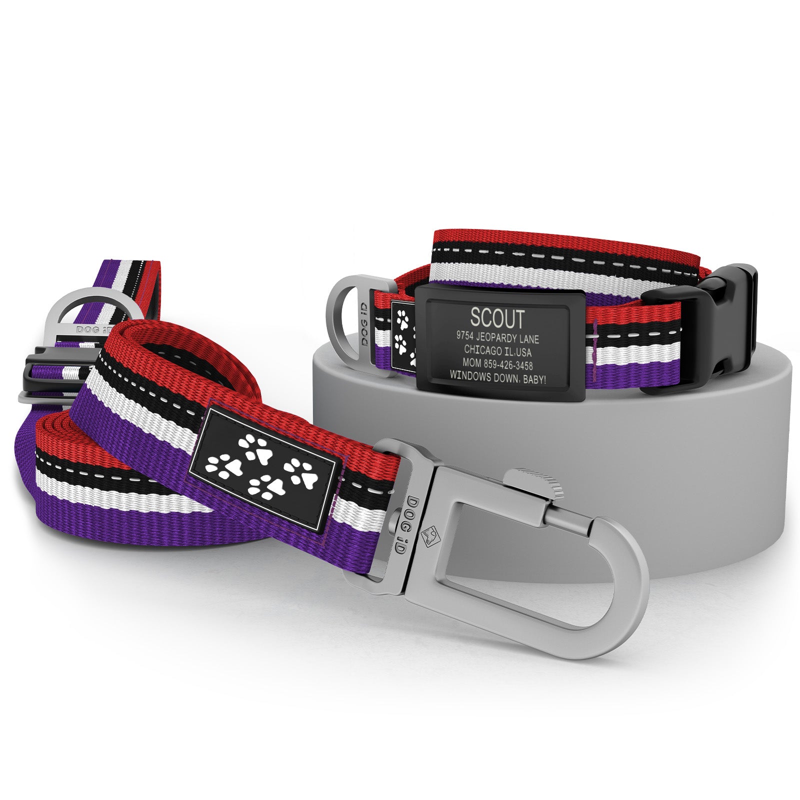 Collar + ID + Leash