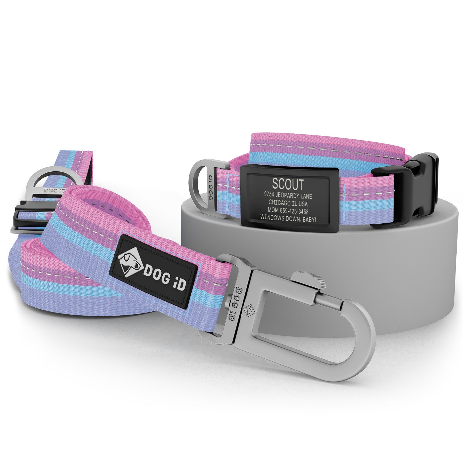 Collar + ID + Leash