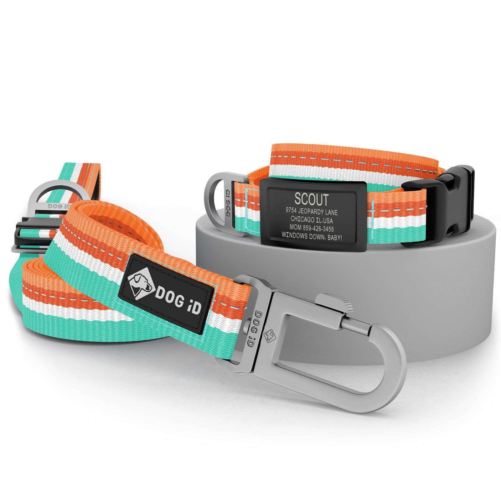 Collar + ID + Leash