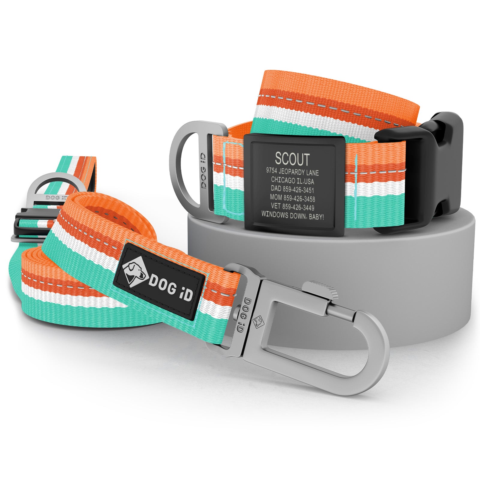 Collar + ID + Leash
