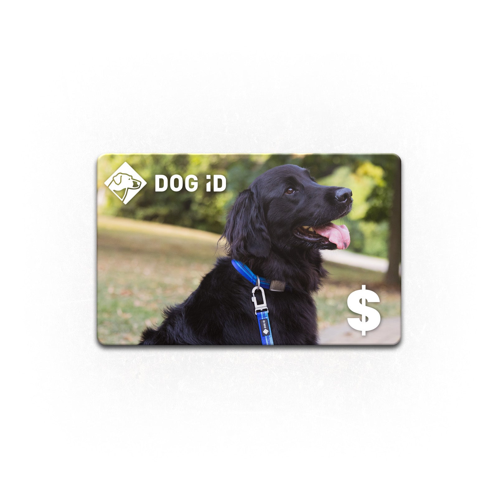 eGift Card Gift Card $10.00