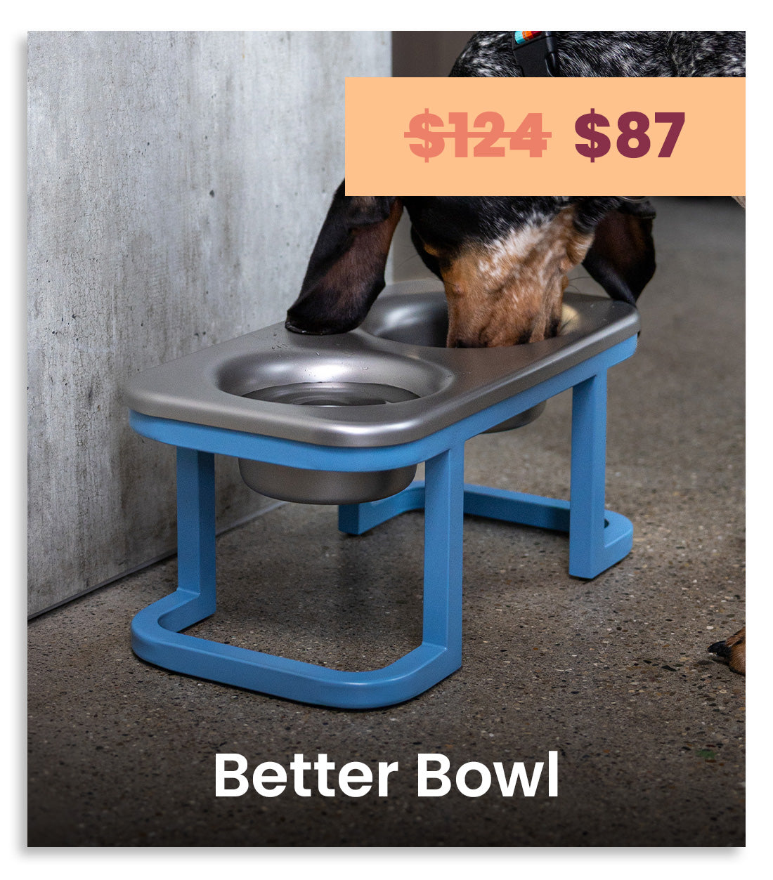 A dog eating from a raised stainless steel bowl with blue legs on a concrete floor, with an orange price label showing $124 down to $87 and the text 'Better Bowl' at the bottom.