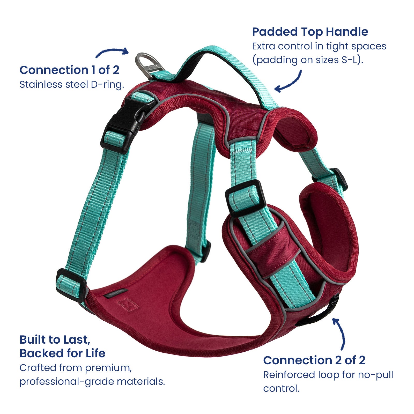 Harness + ID + Leash ID