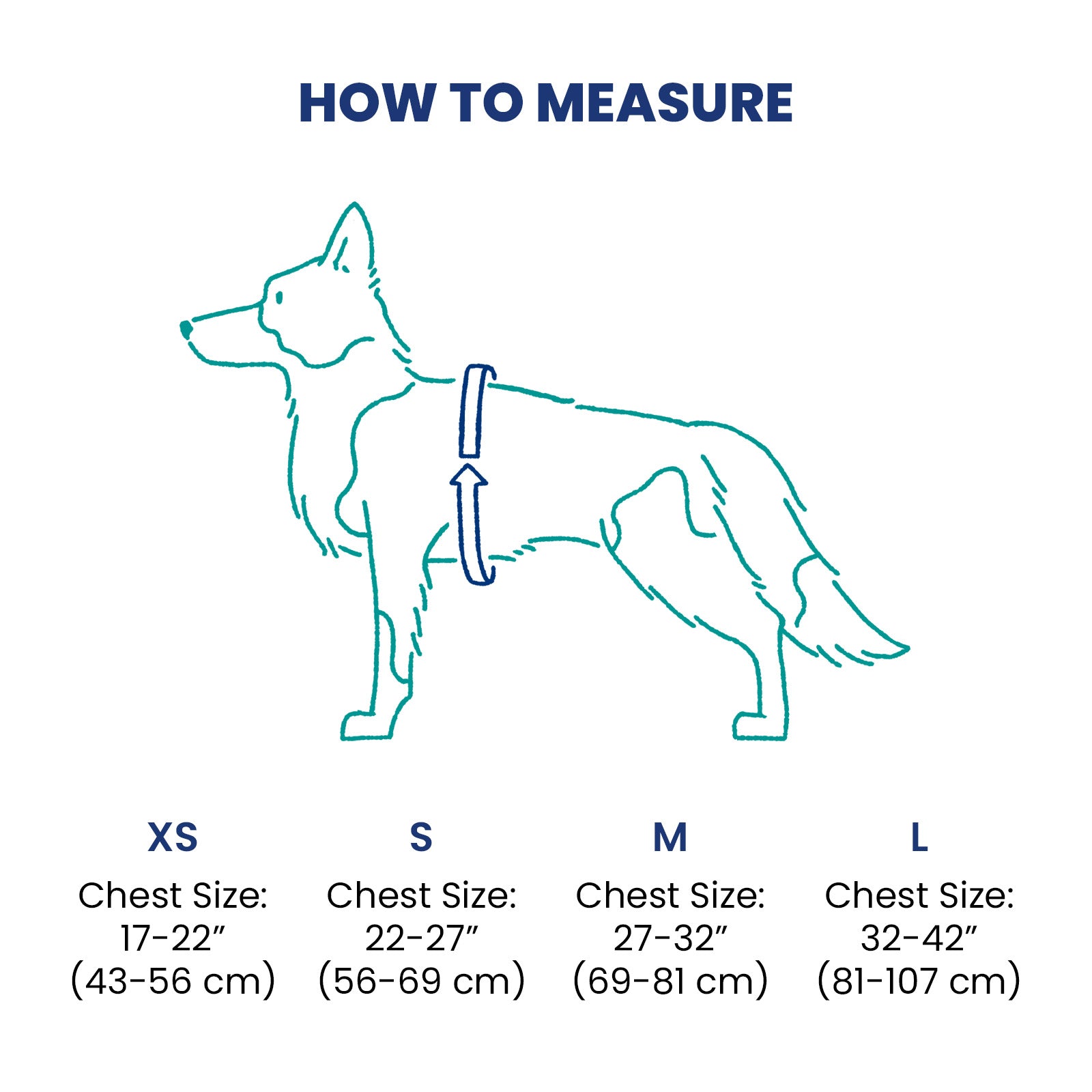 Harness + ID + Leash ID