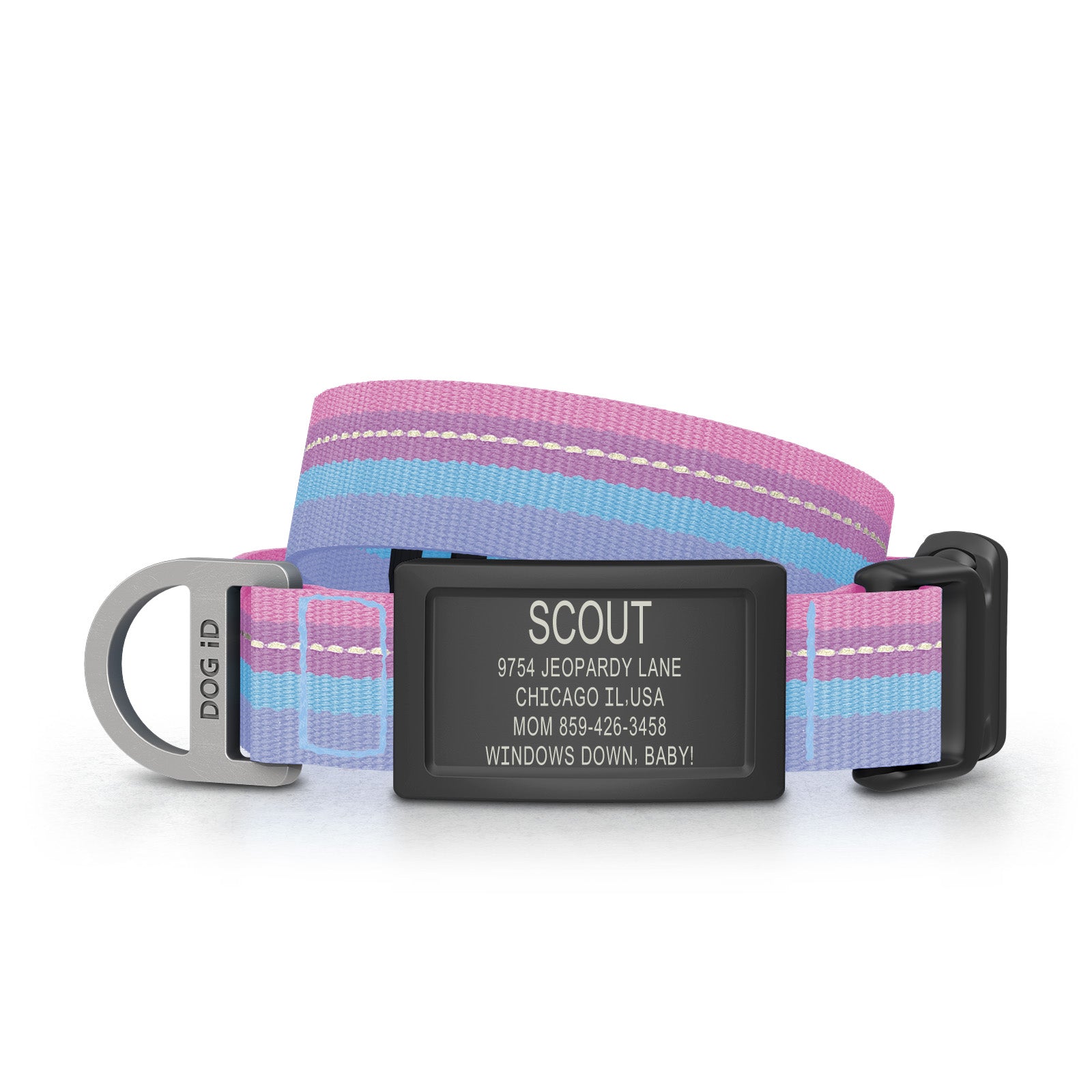 Collar + ID ID Small Graphite Berry Breeze