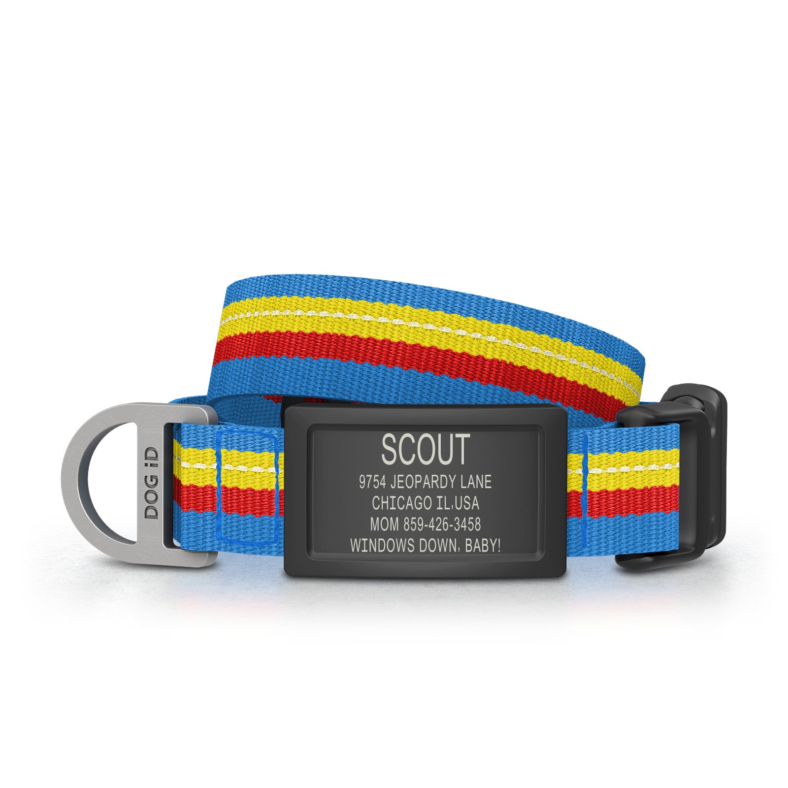 Collar + ID ID Small Graphite Horizon Blue