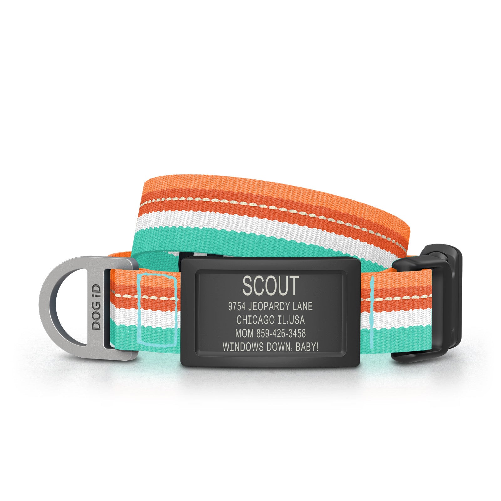 Collar + ID ID Small Graphite Tangerine Tide