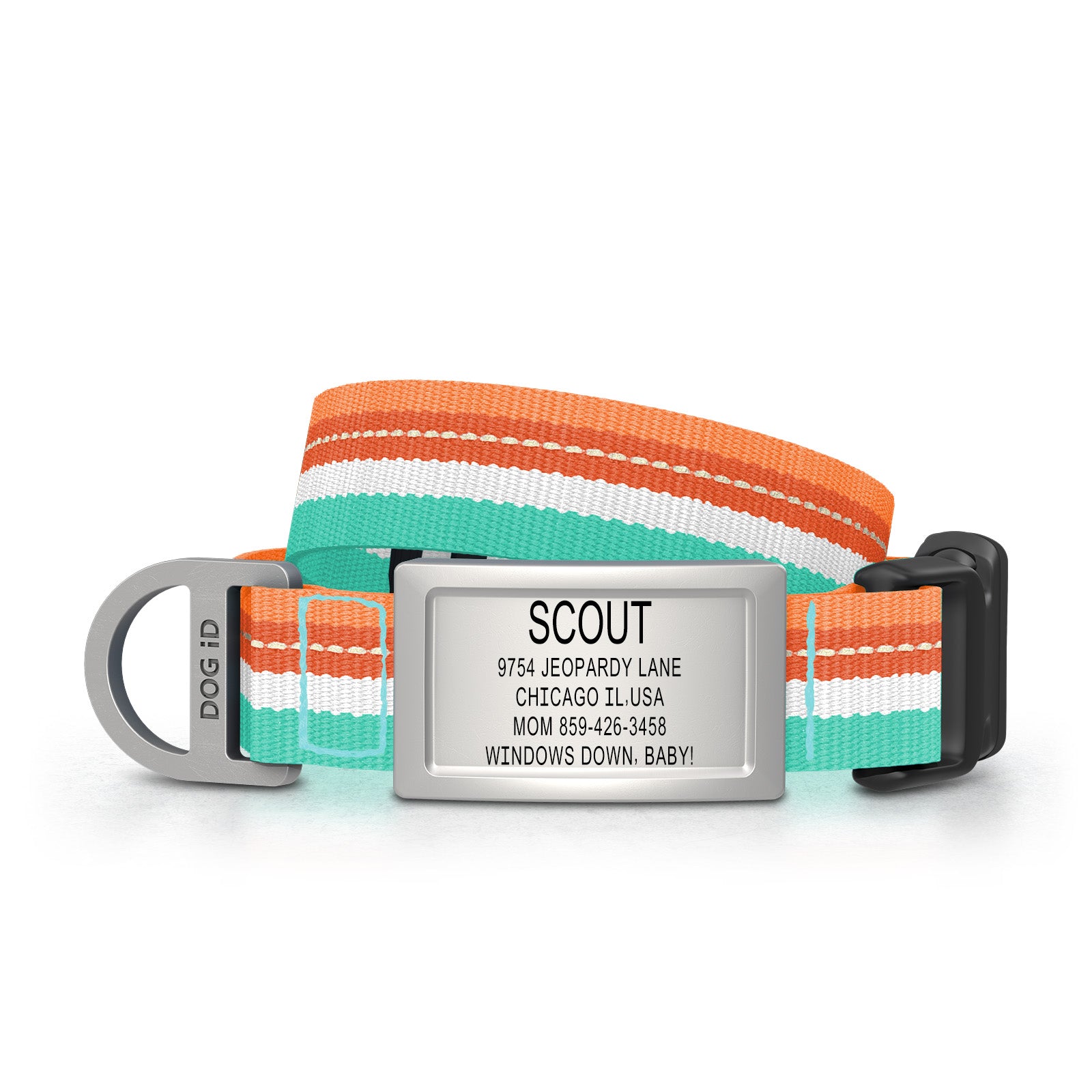 Collar + ID ID Small Slate Tangerine Tide