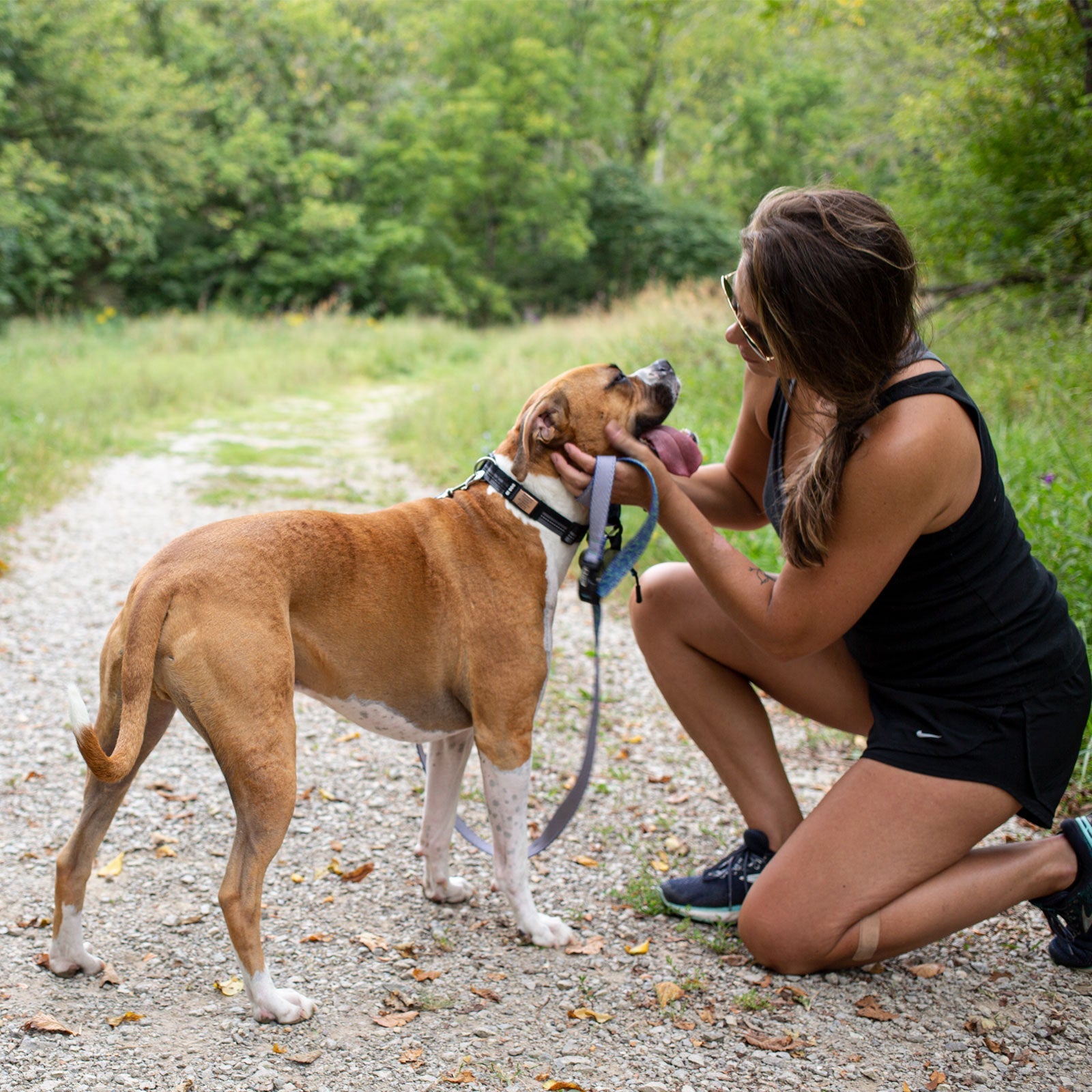 Rock Solid Collar Accessory Collar