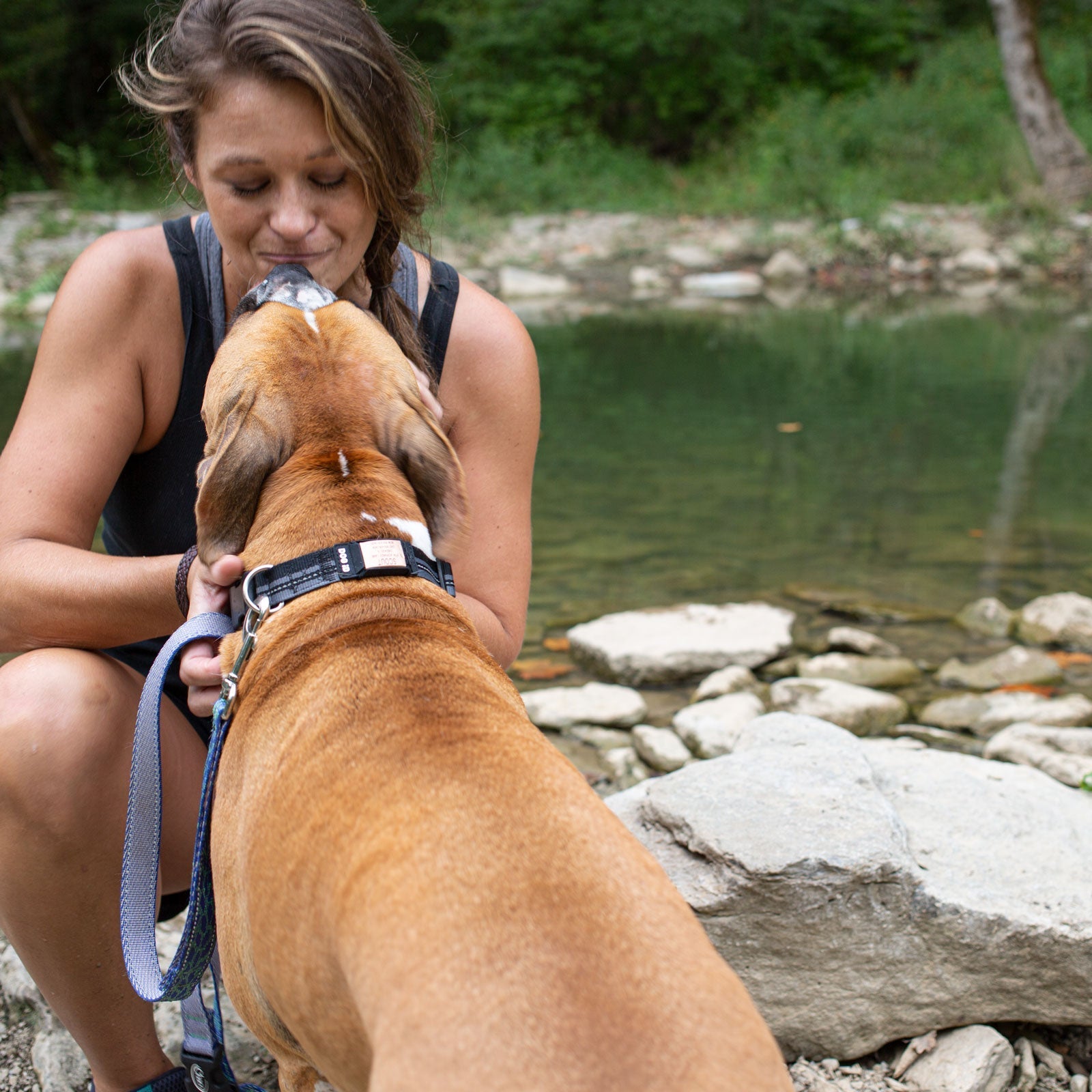 Rock Solid Collar Accessory Collar