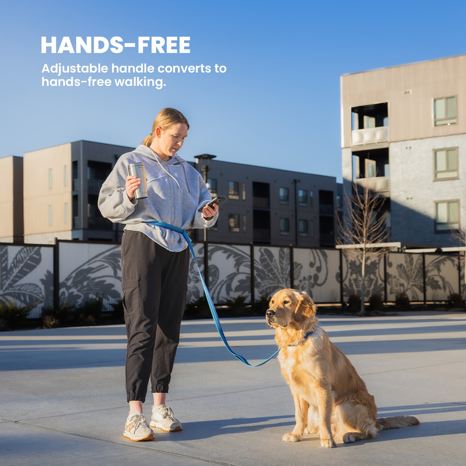 Harness + ID + Leash ID