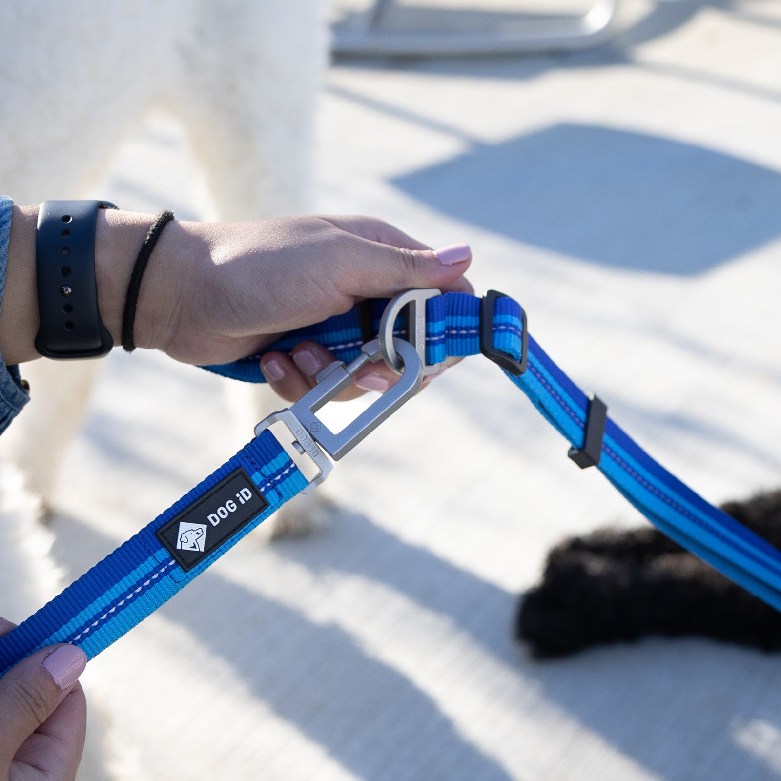 Multi-Lead MultiLead