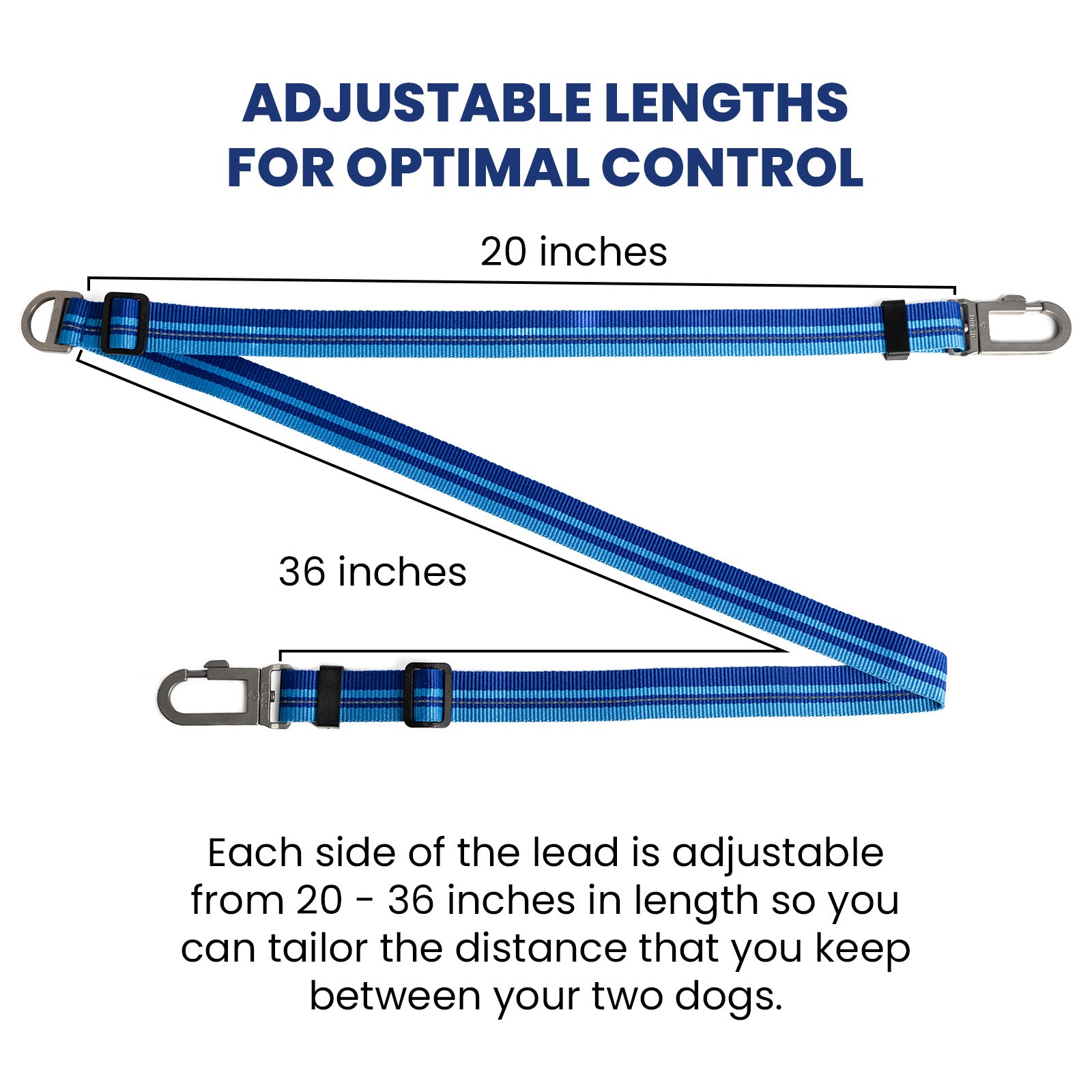 Multi-Lead MultiLead