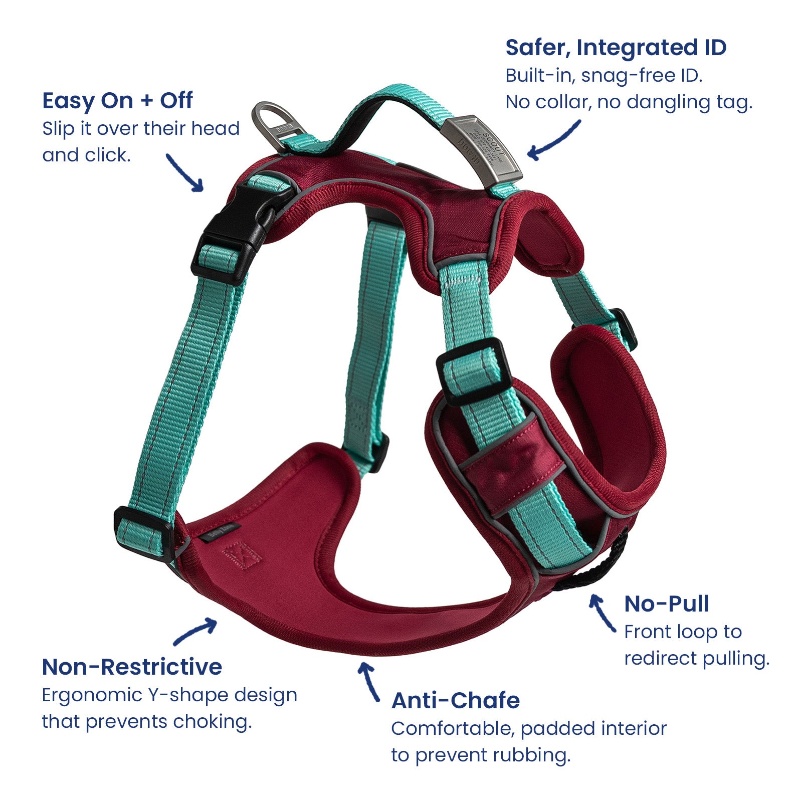 No-Pull Harness + ID ID