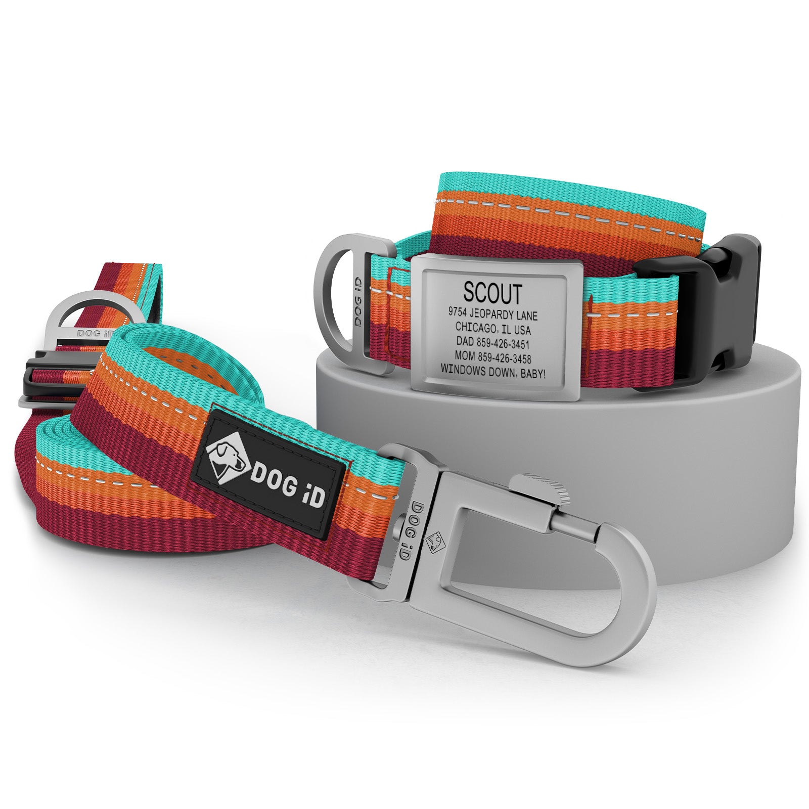 Collar + ID + Leash