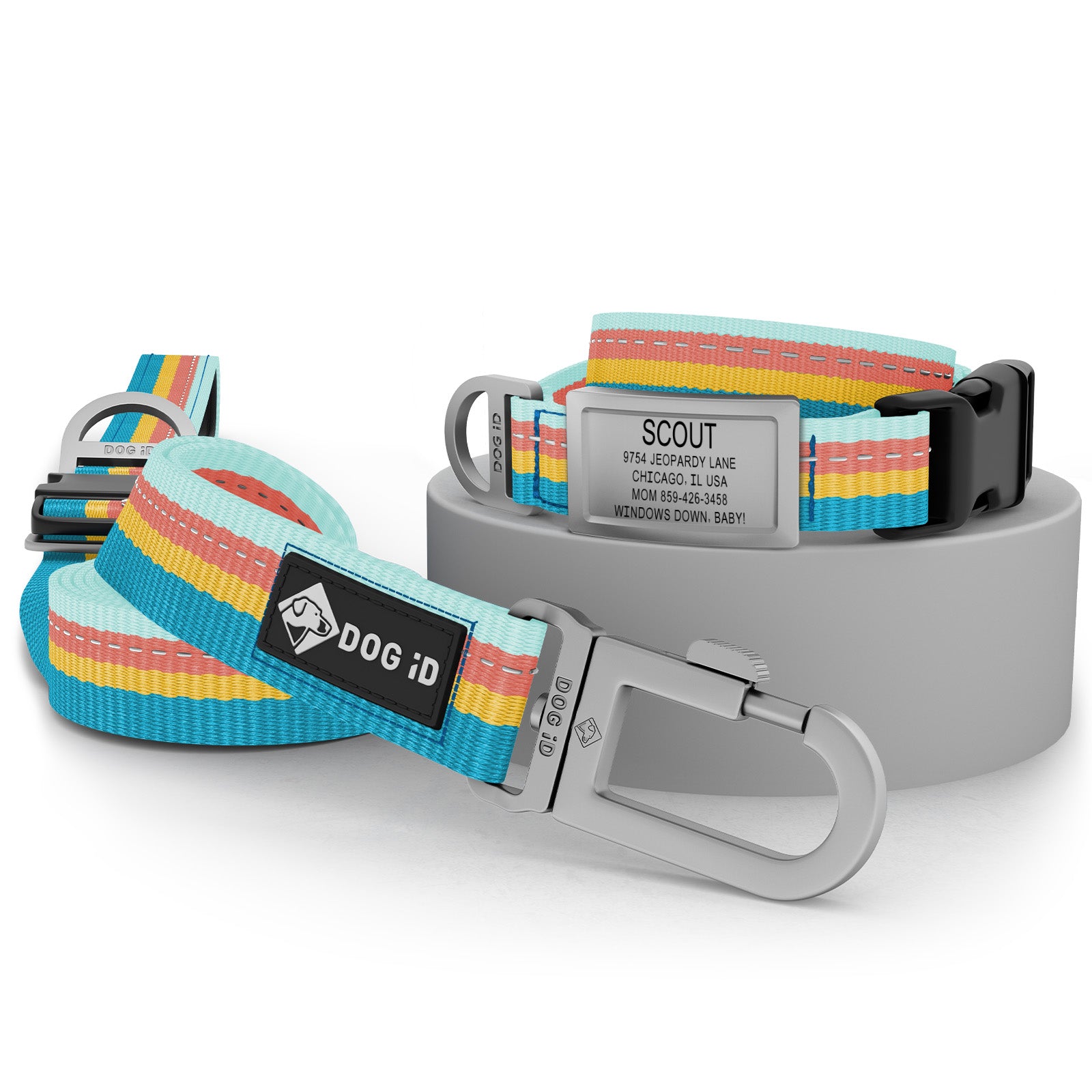 Collar + ID + Leash