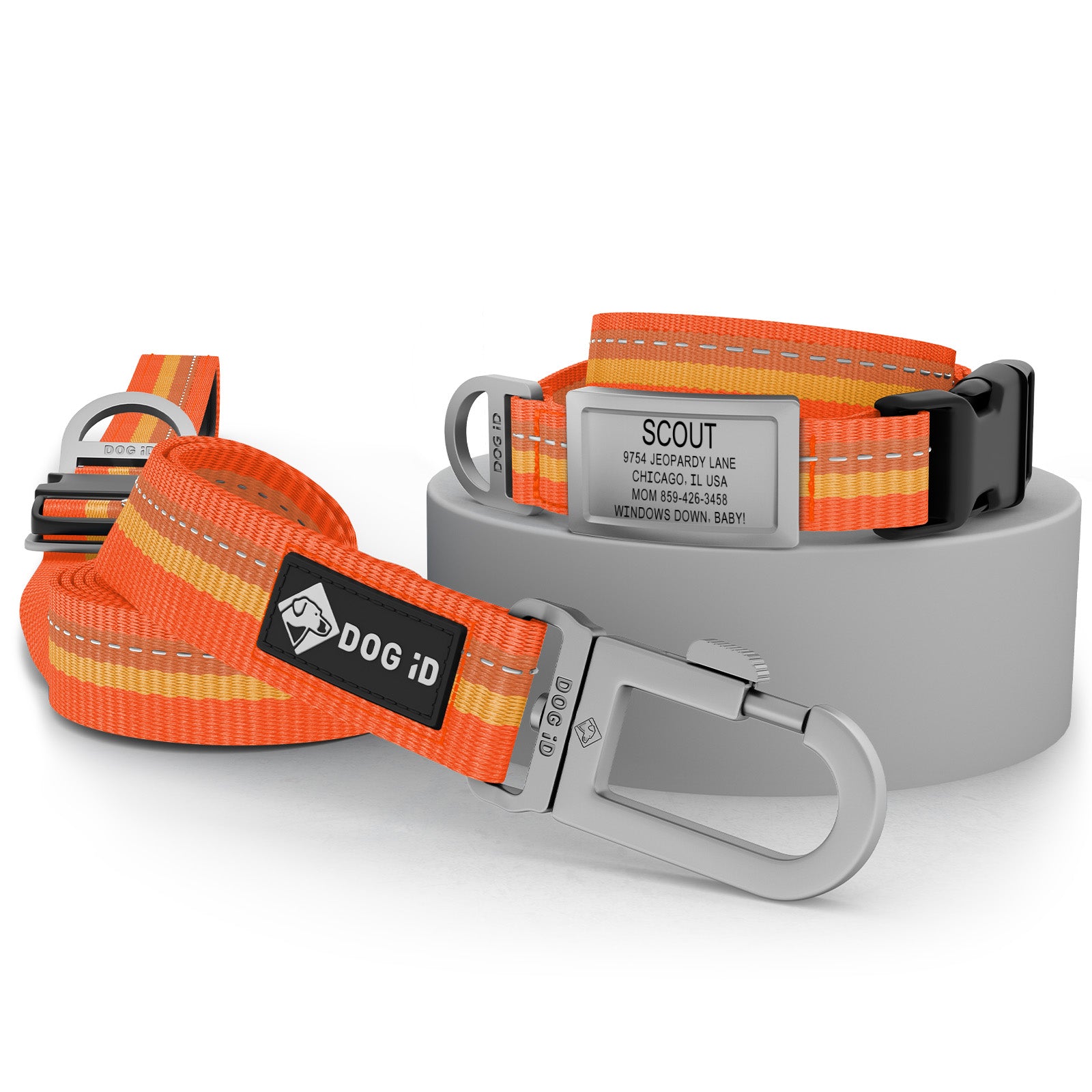 Collar + ID + Leash