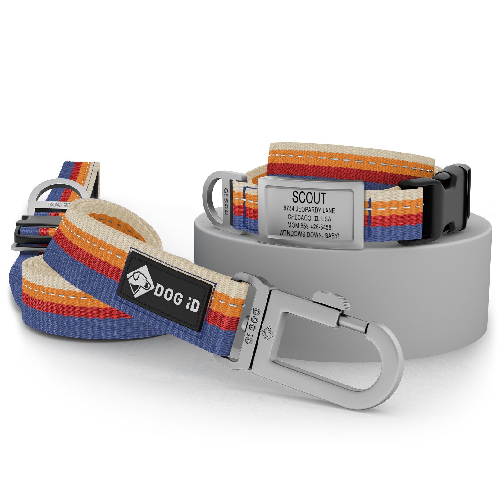 Collar + ID + Leash