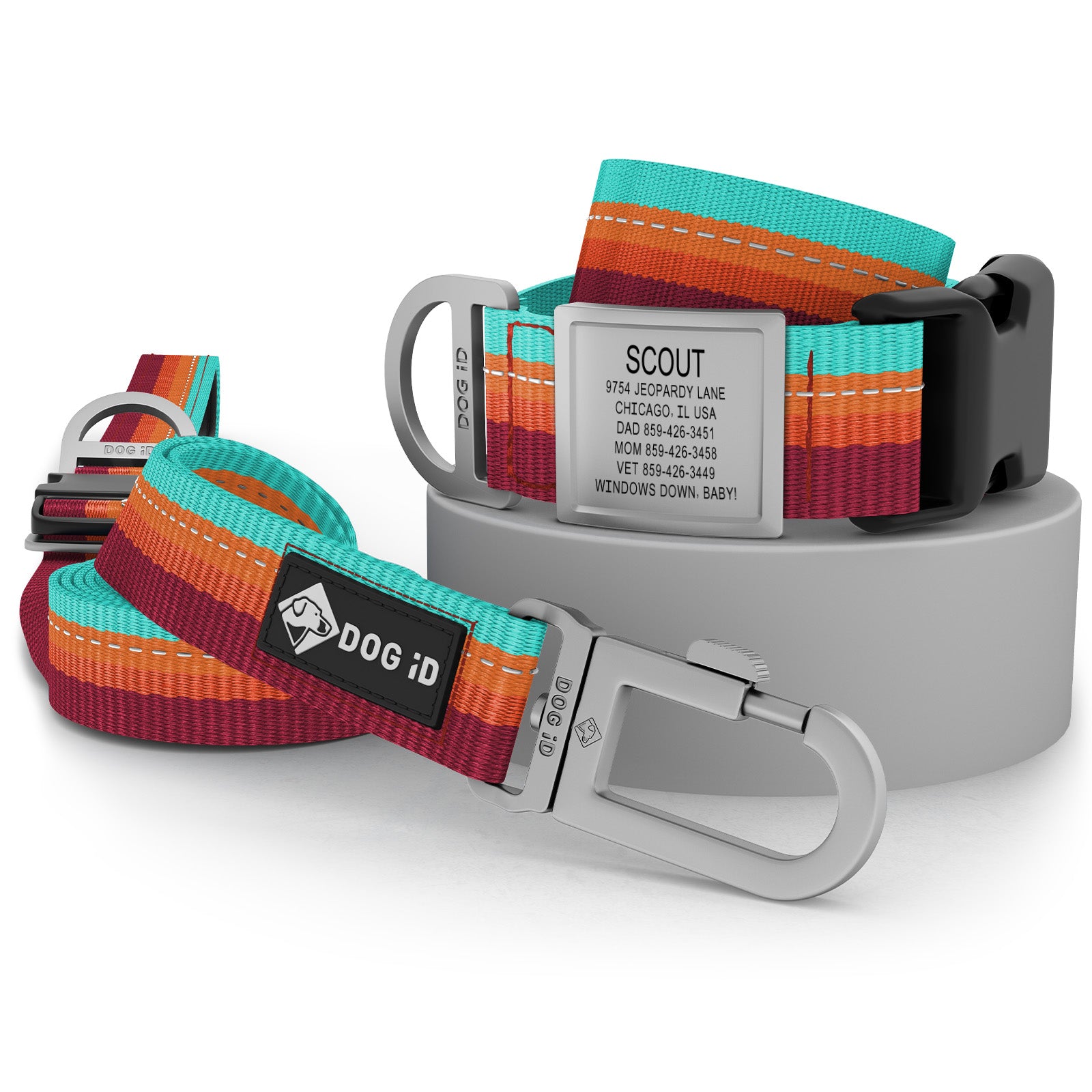 Collar + ID + Leash