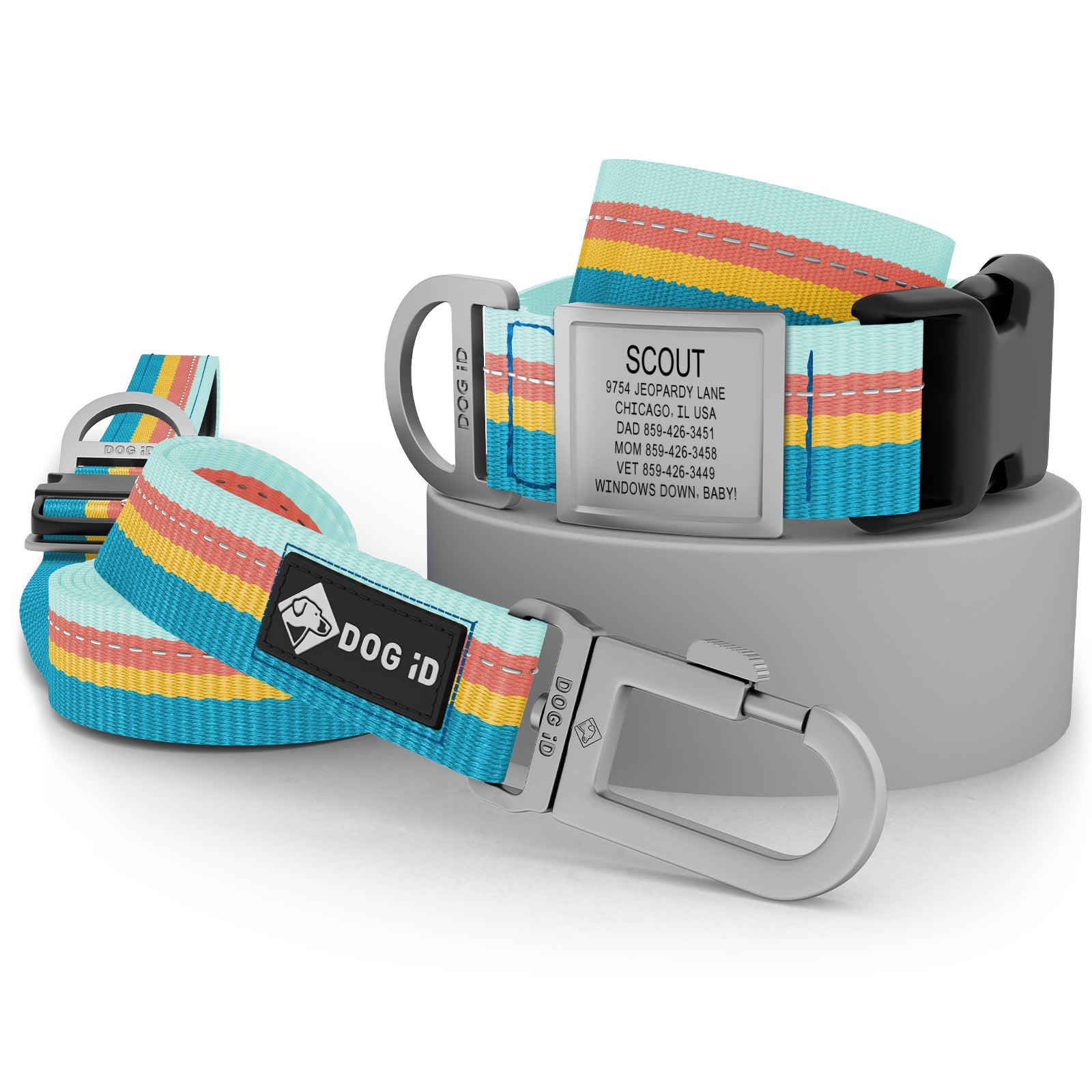Collar + ID + Leash