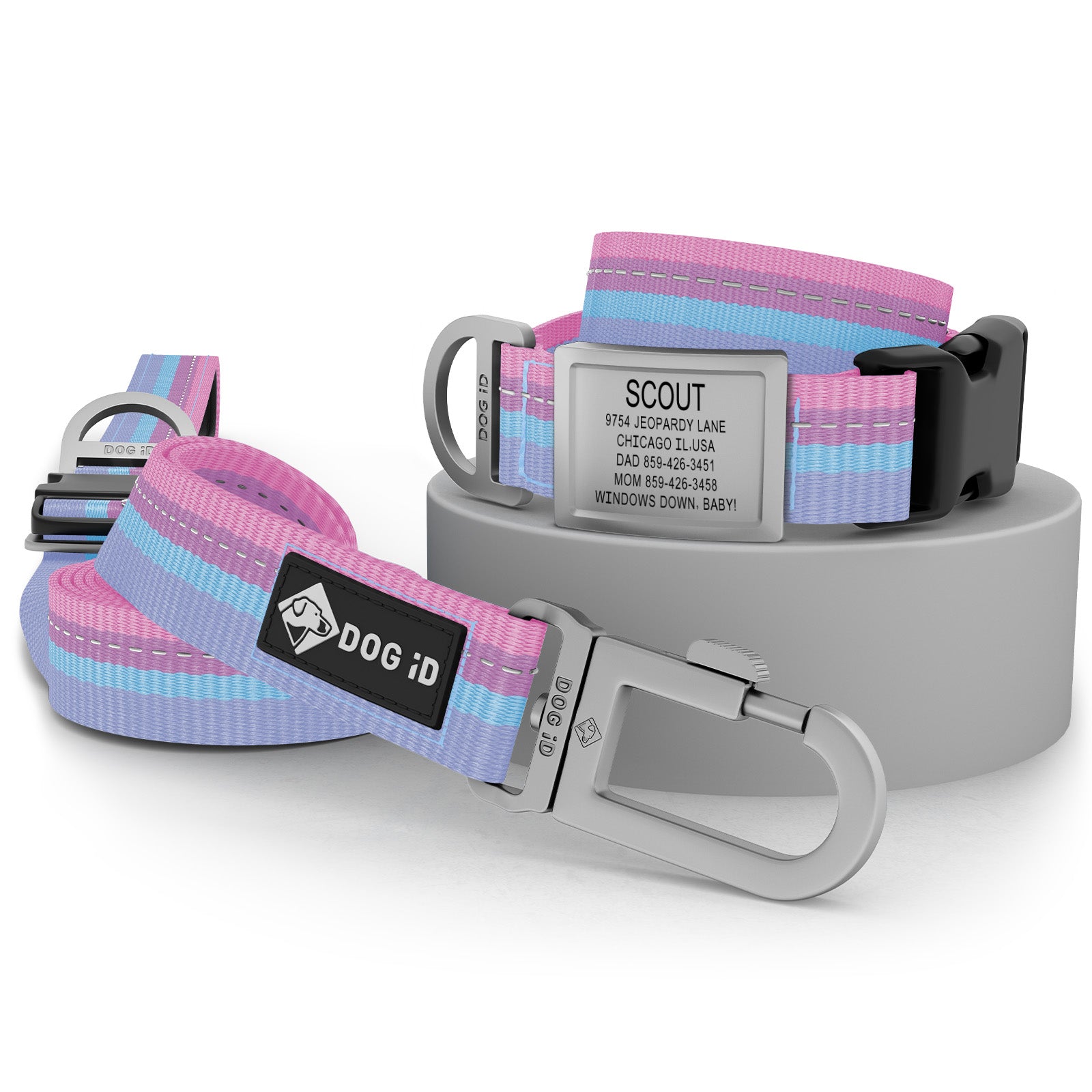 Collar + ID + Leash