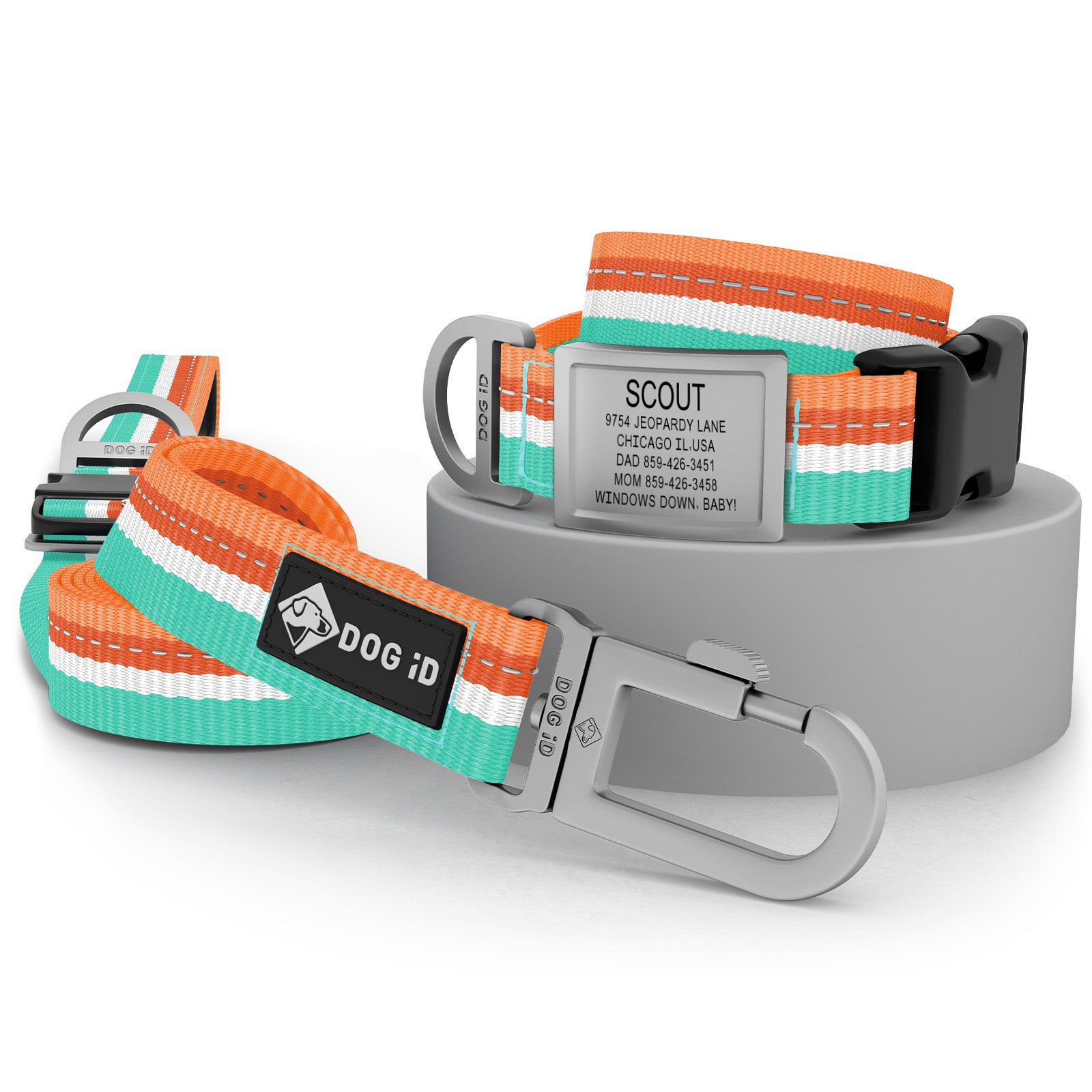 Collar + ID + Leash