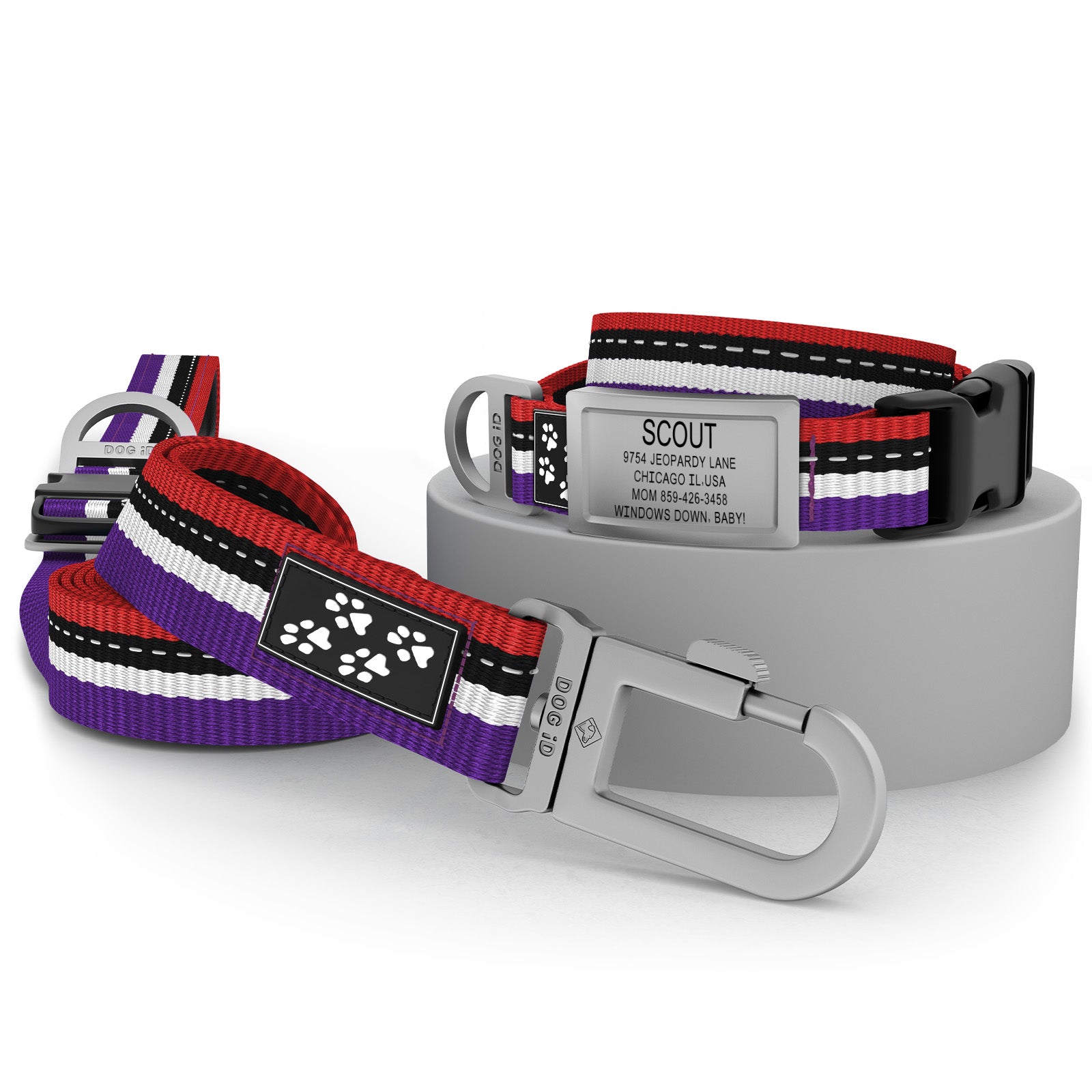 Collar + ID + Leash