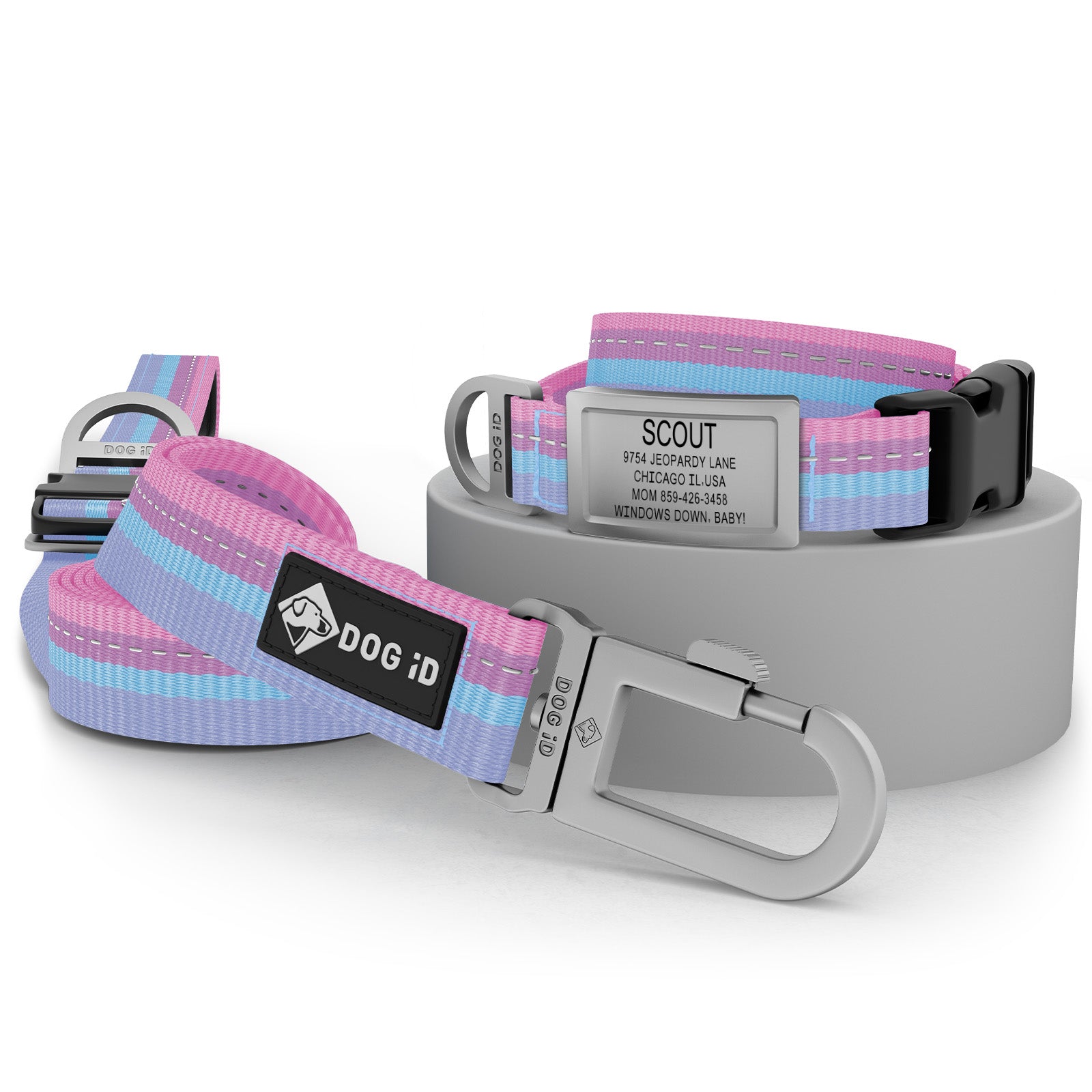 Collar + ID + Leash