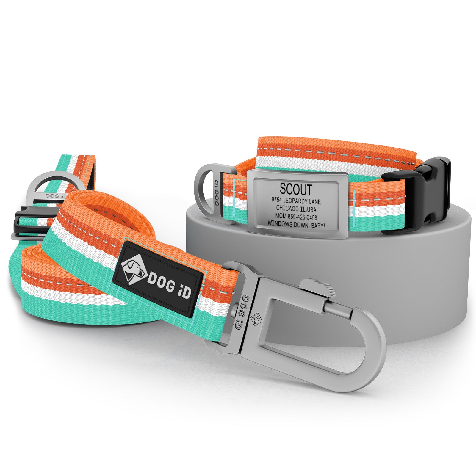 Collar + ID + Leash