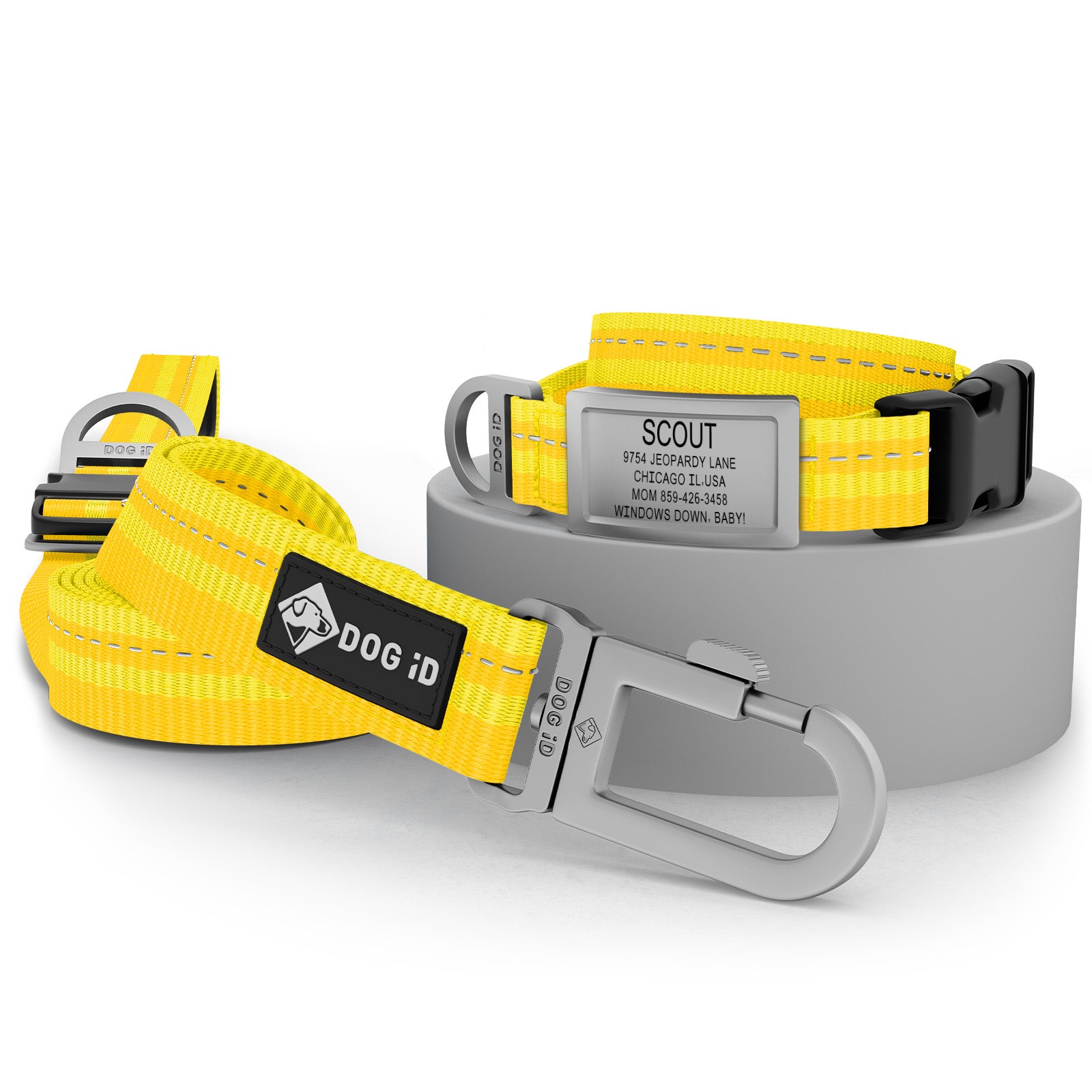 Collar + ID + Leash ID Small Slate Yellow