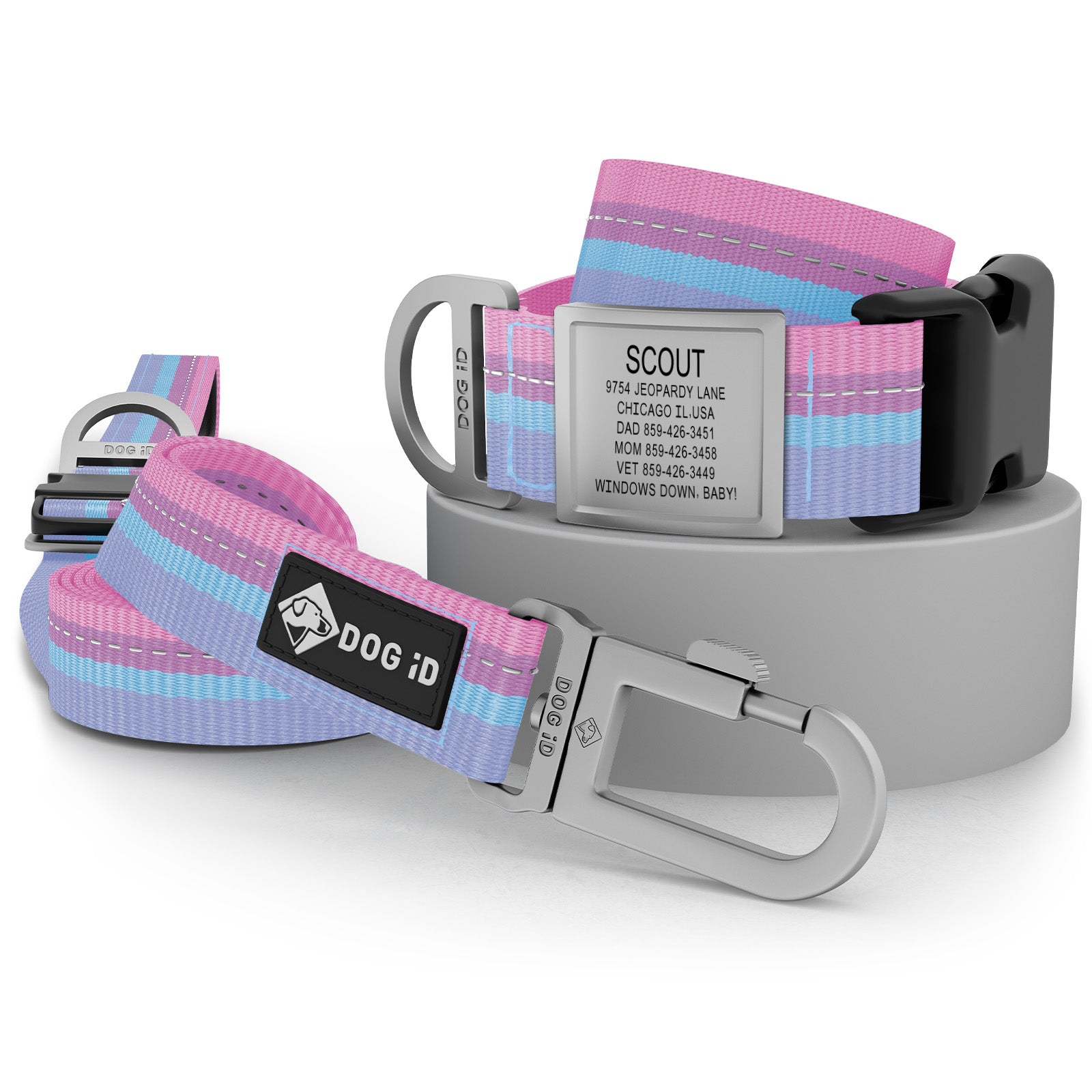 Collar + ID + Leash