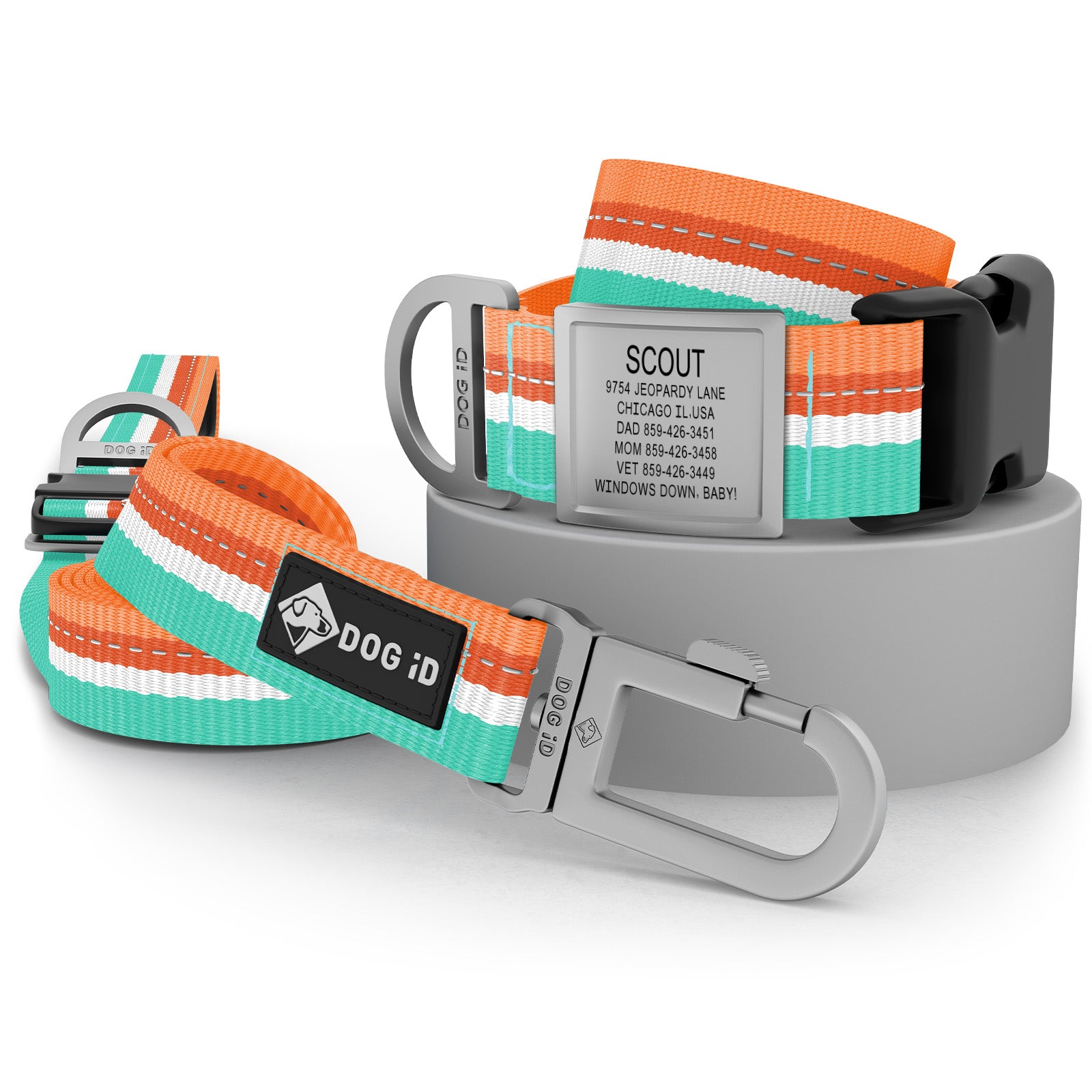 Collar + ID + Leash