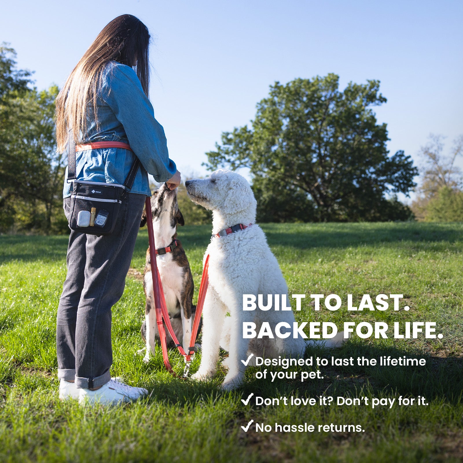 Schitty Kit + Poopy Bags + Leash