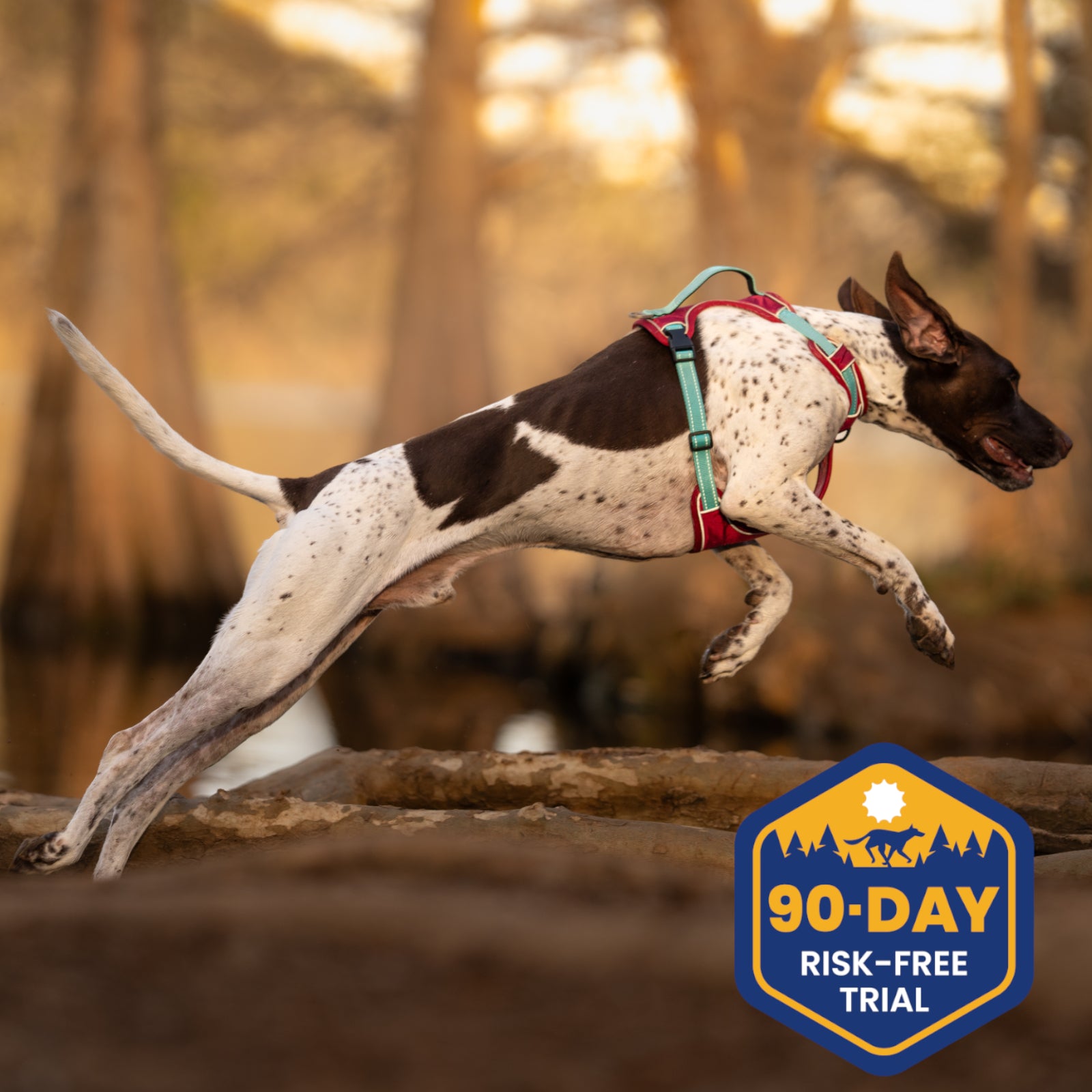 DOG iD 90-day risk-free trial — no-pull harness with money-back guarantee