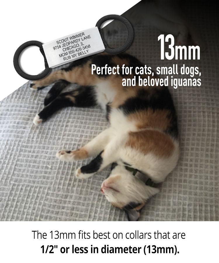 Cat ID 1 ID