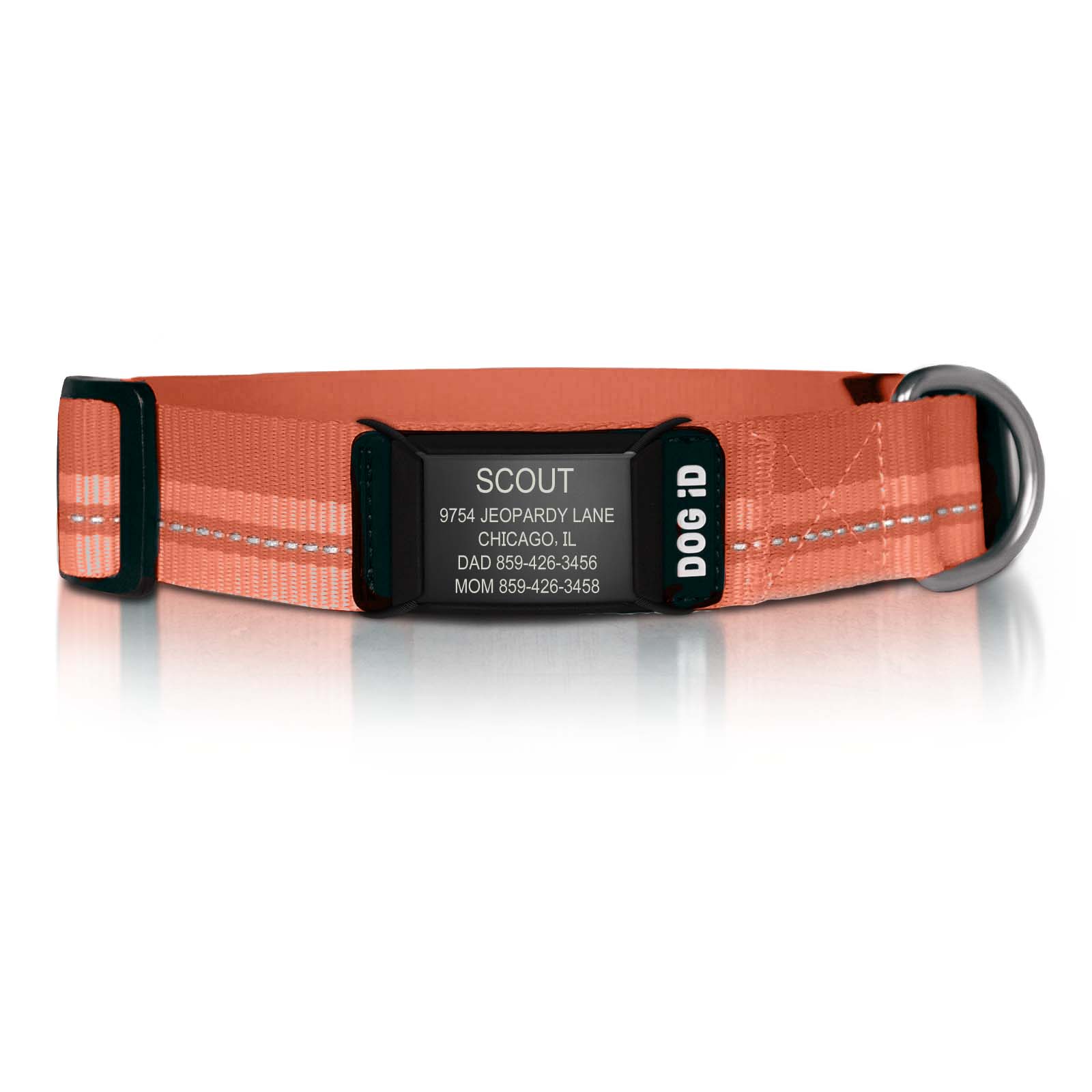 Rock Solid Collar ID ID Med/Large Graphite Terra Cotta