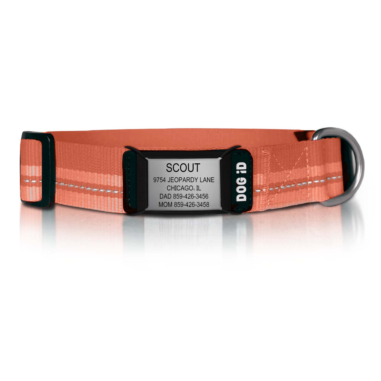 Rock Solid Collar ID 1 ID Med/Large Slate Terra Cotta