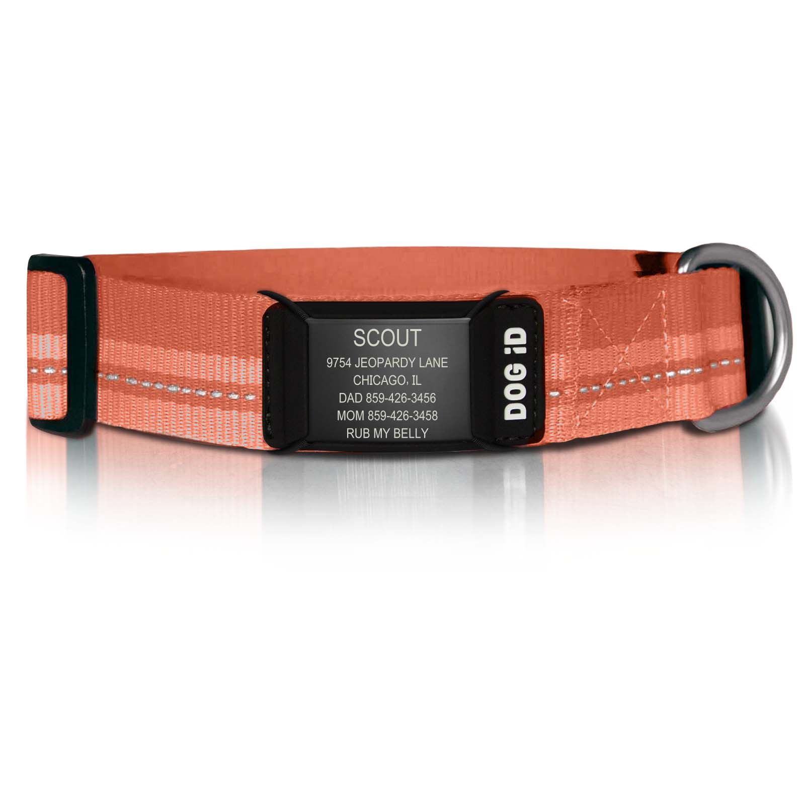 Rock Solid Collar ID ID X-Large Graphite Terra Cotta