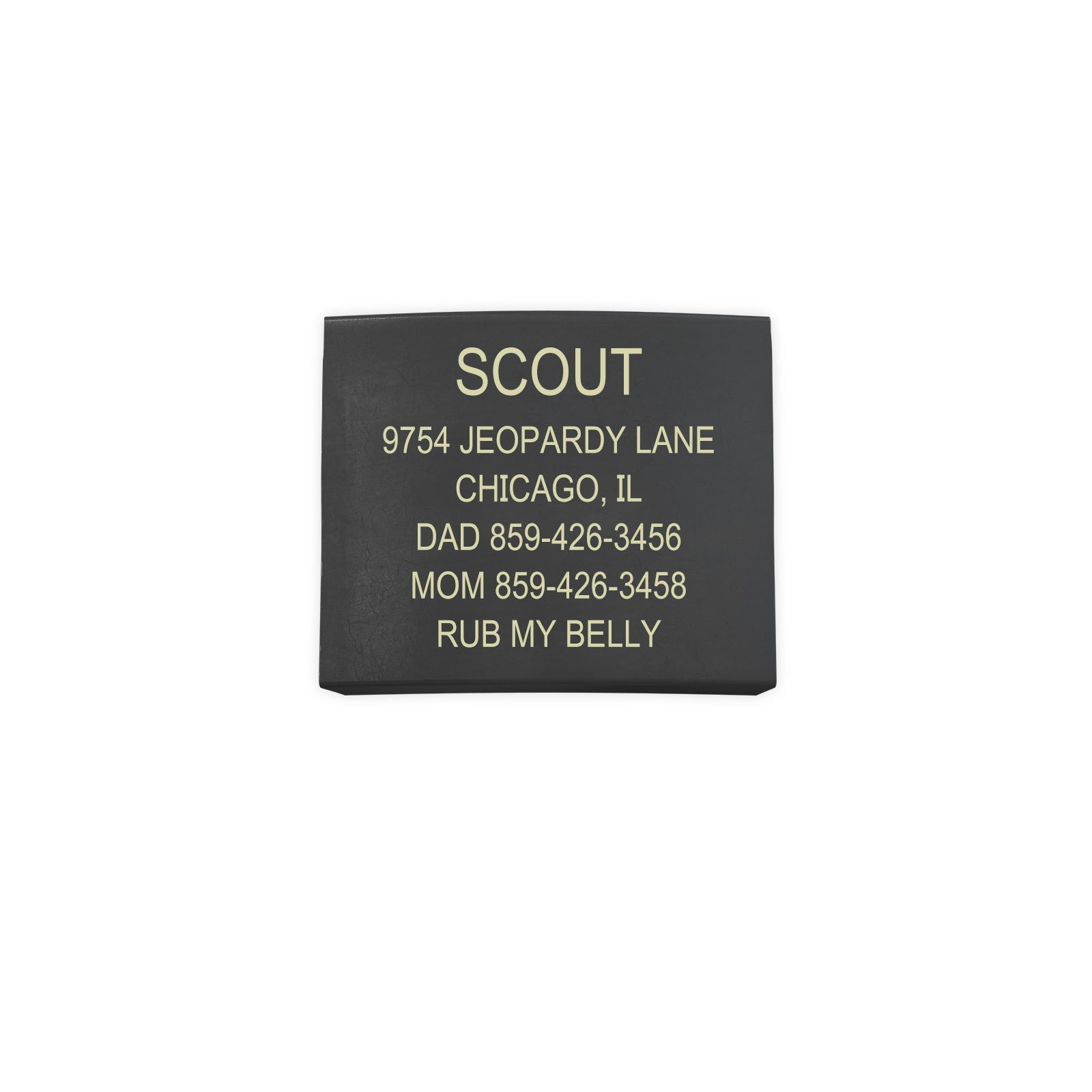 Replacement Faceplates ID Graphite X-Large