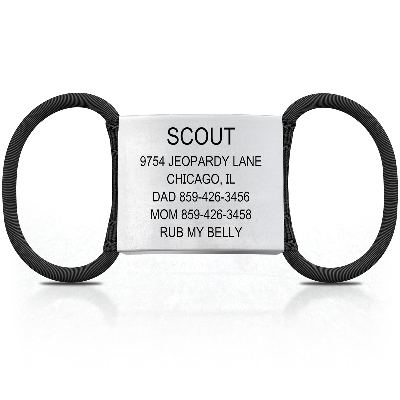 Dog ID 1 ID Slate X-Large