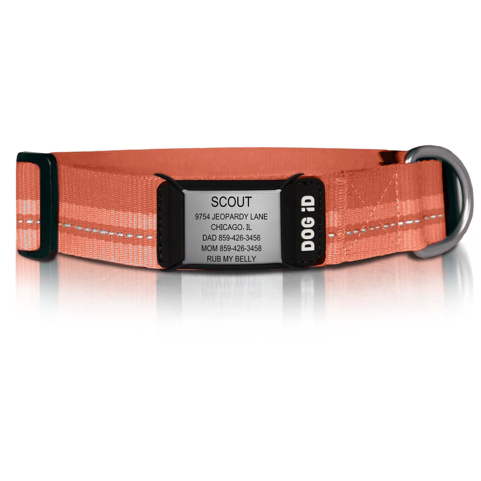 Rock Solid Collar ID 1 ID X-Large Slate Terra Cotta